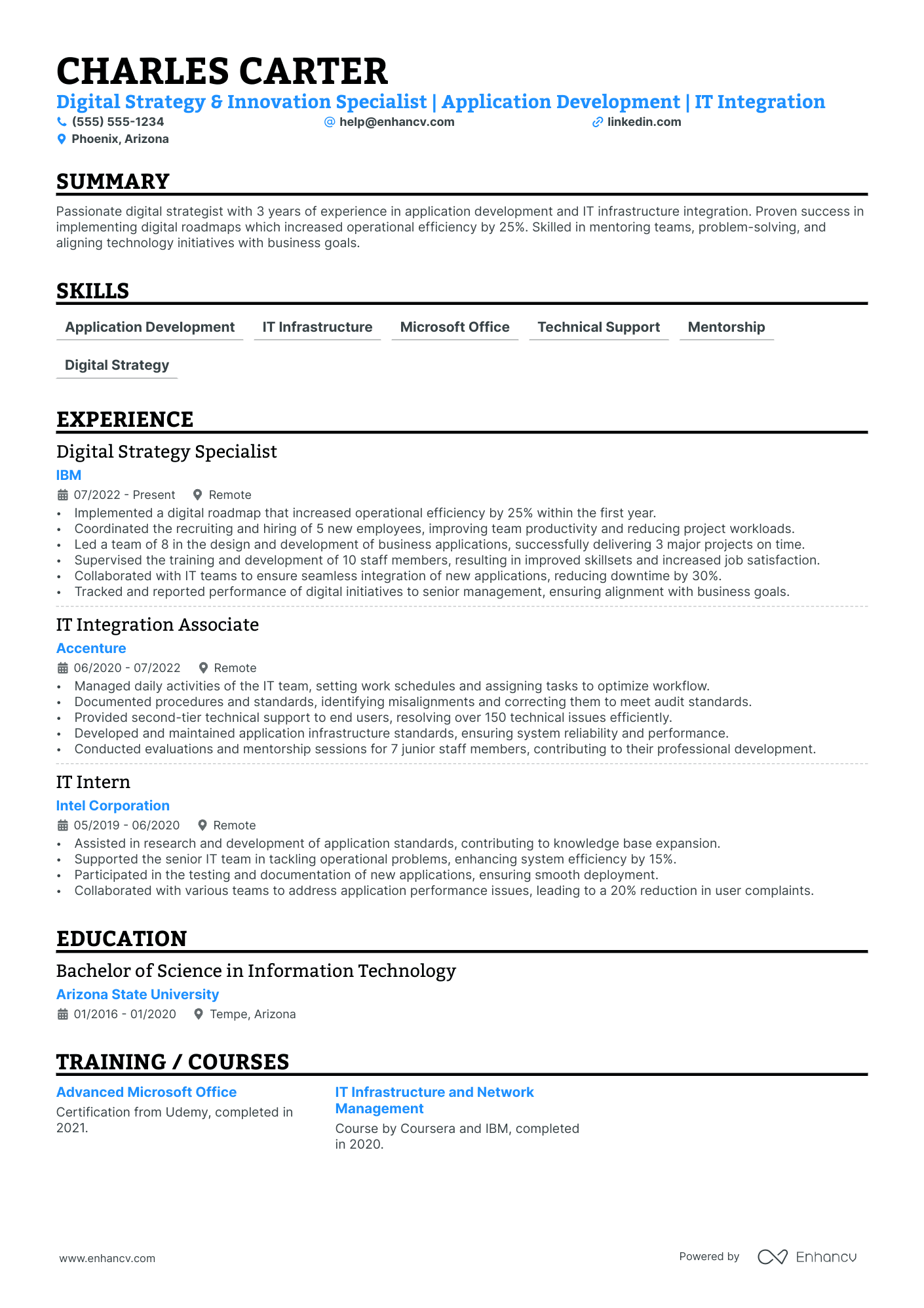 Technology Manager resume example