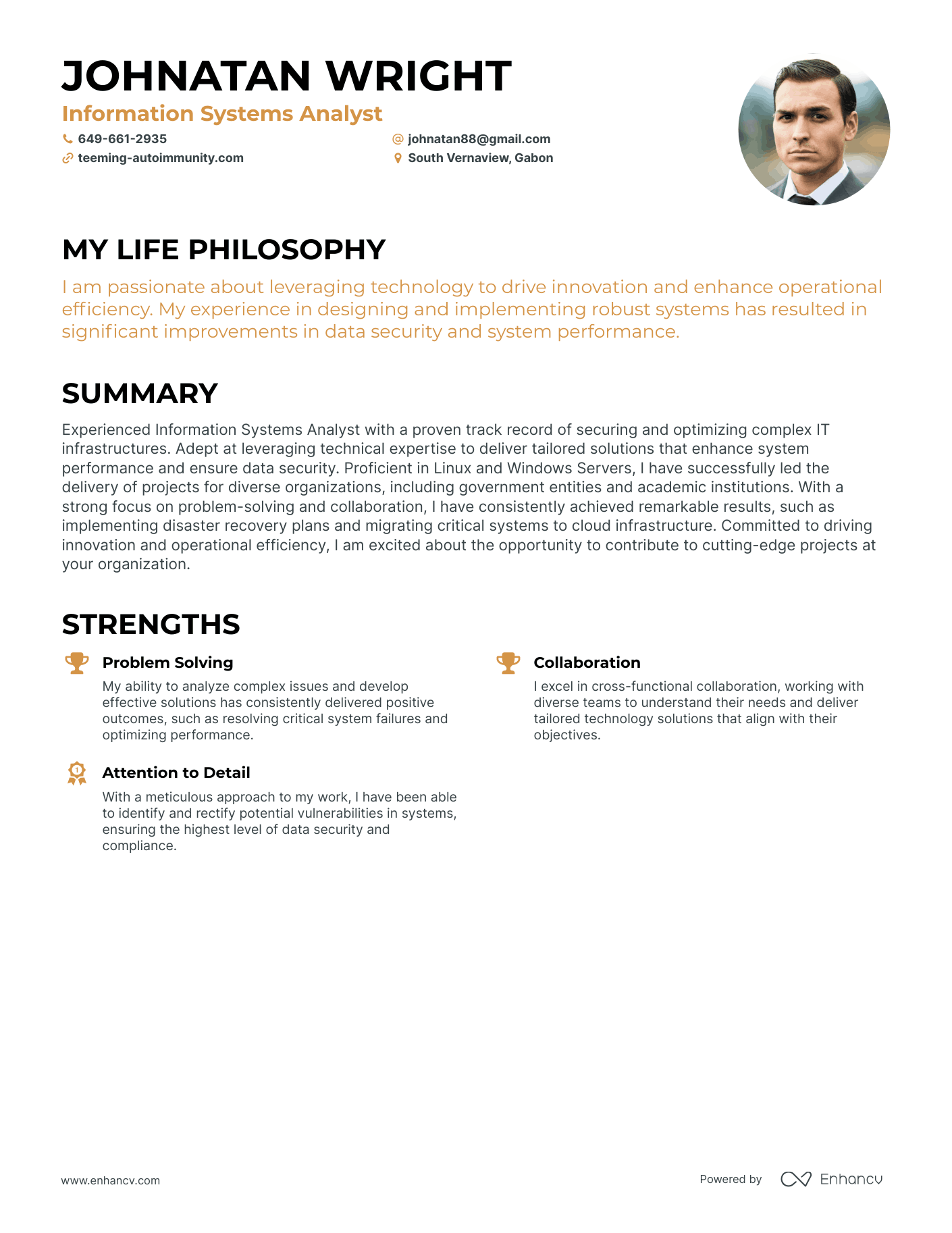 Creative Information Systems Analyst Resume Example