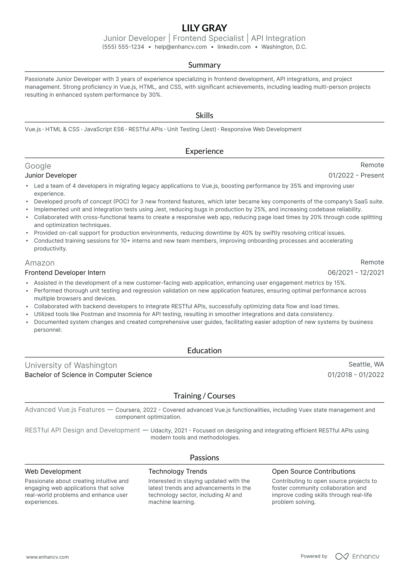 Lead Application Developer resume example