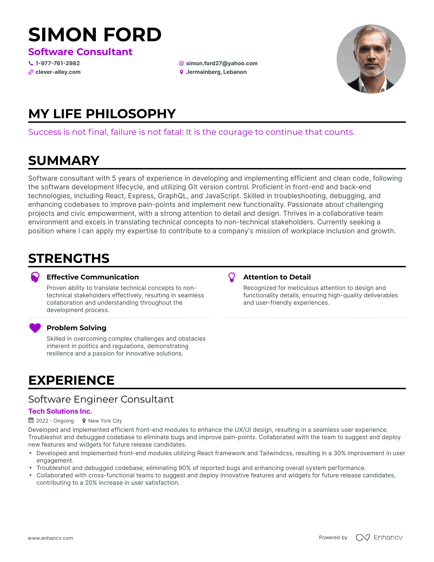 Creative Software Consultant Resume Example