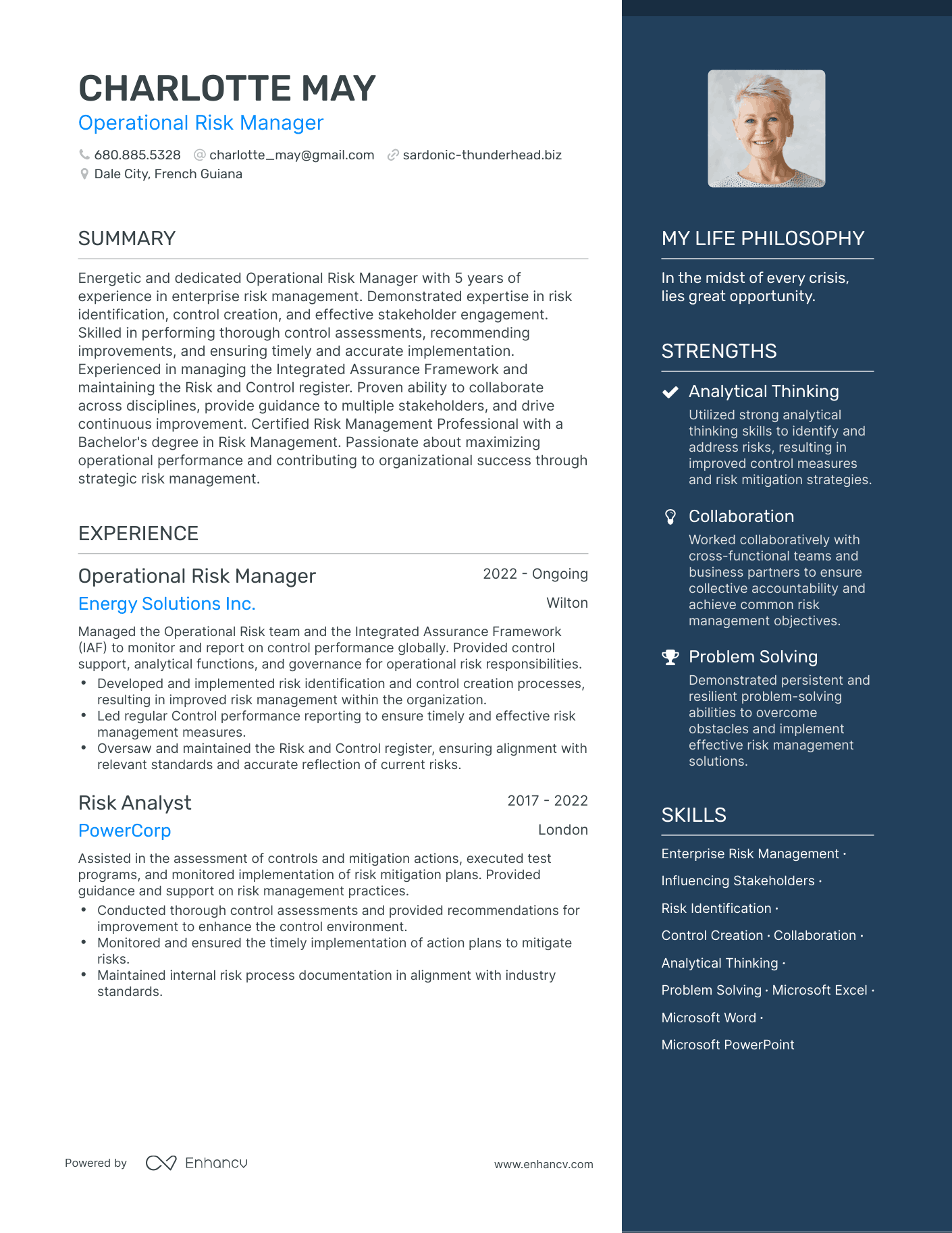 resume objective examples risk management