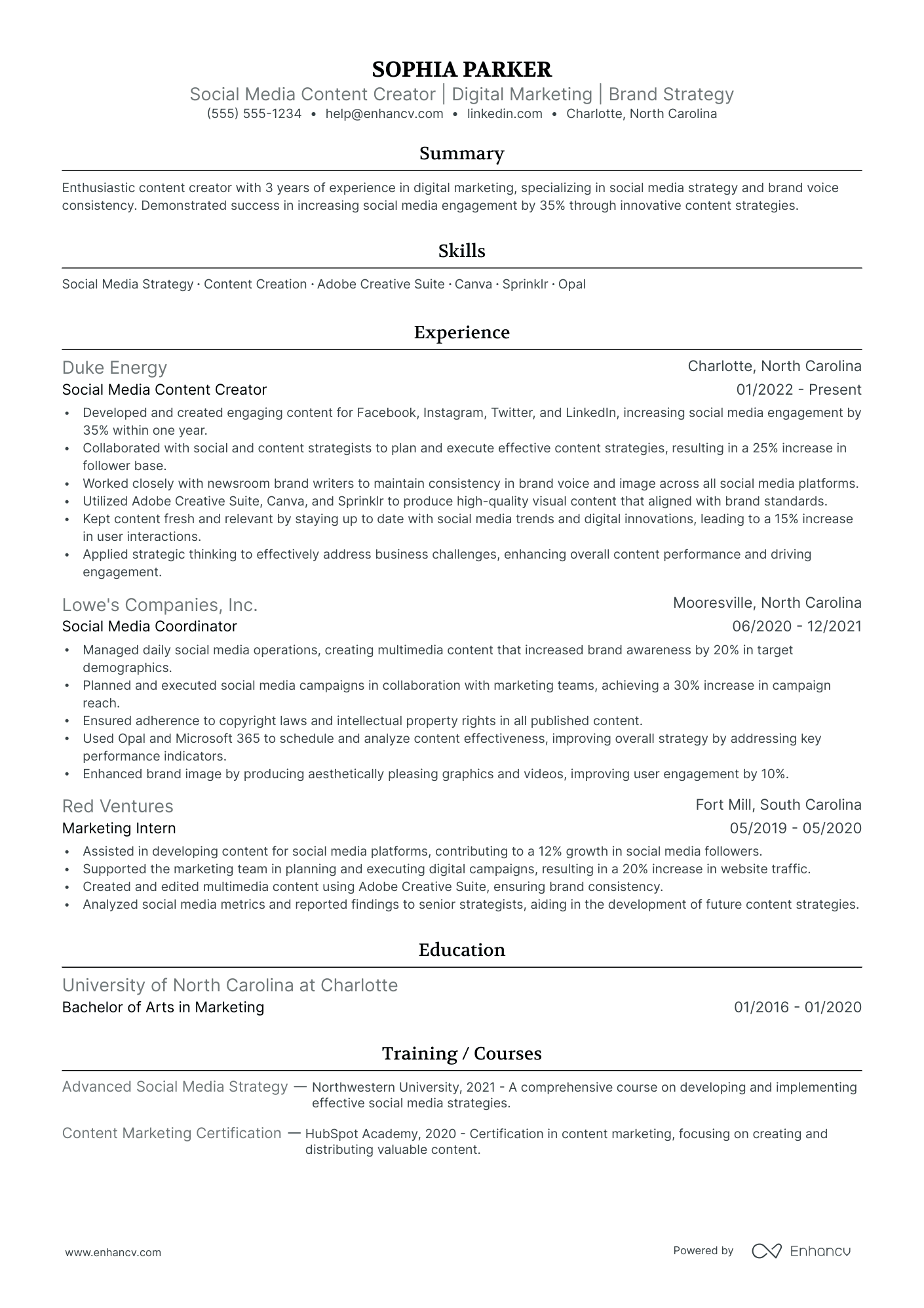 Multimedia Artist Resume Example Resume Example