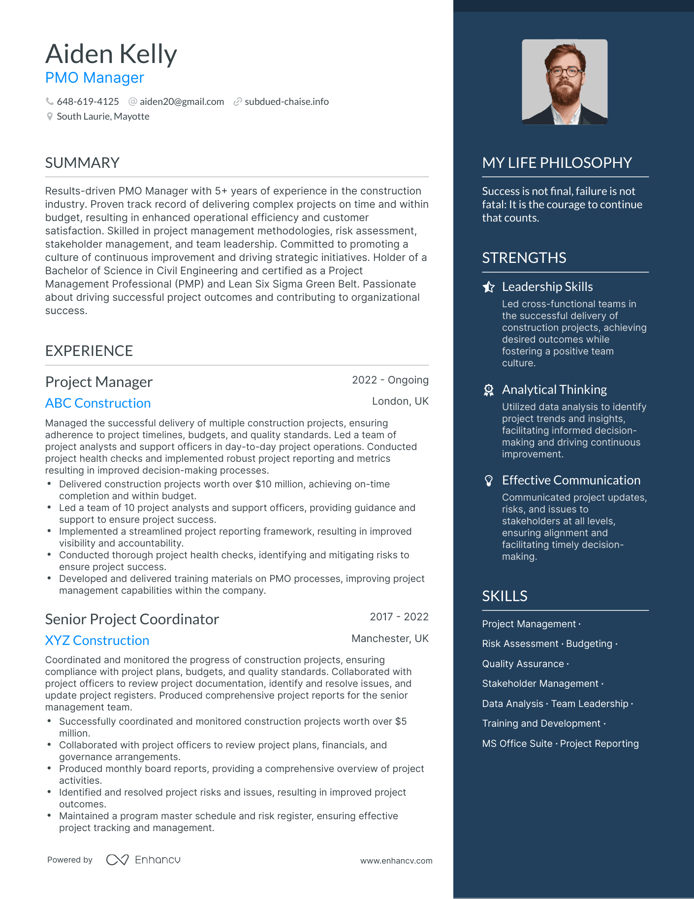 PMO Manager resume example