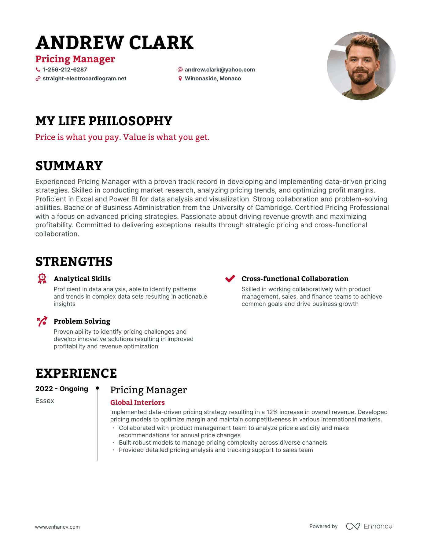 Creative Pricing Manager Resume Example