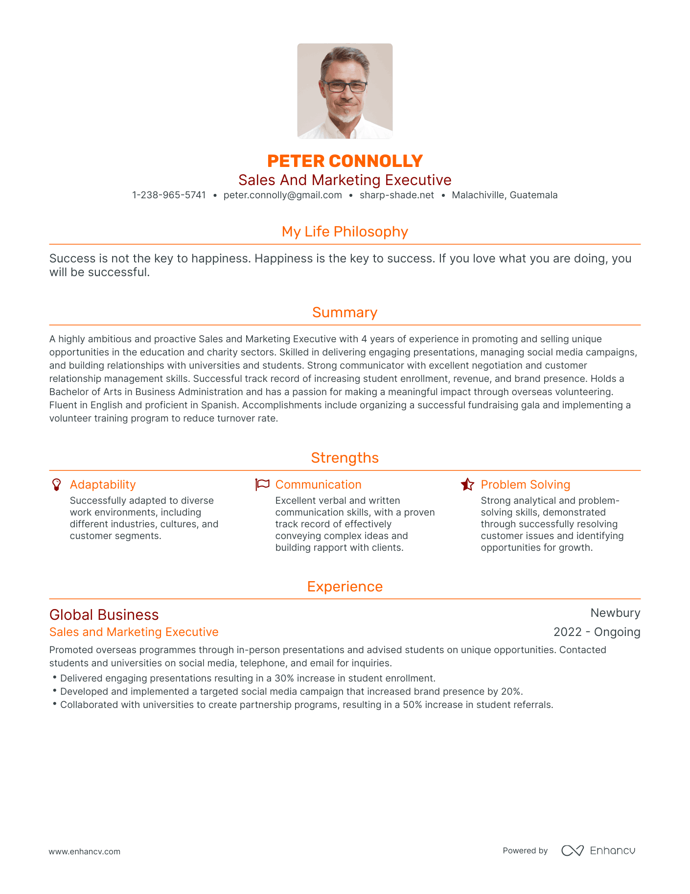Modern Sales And Marketing Executive Resume Example