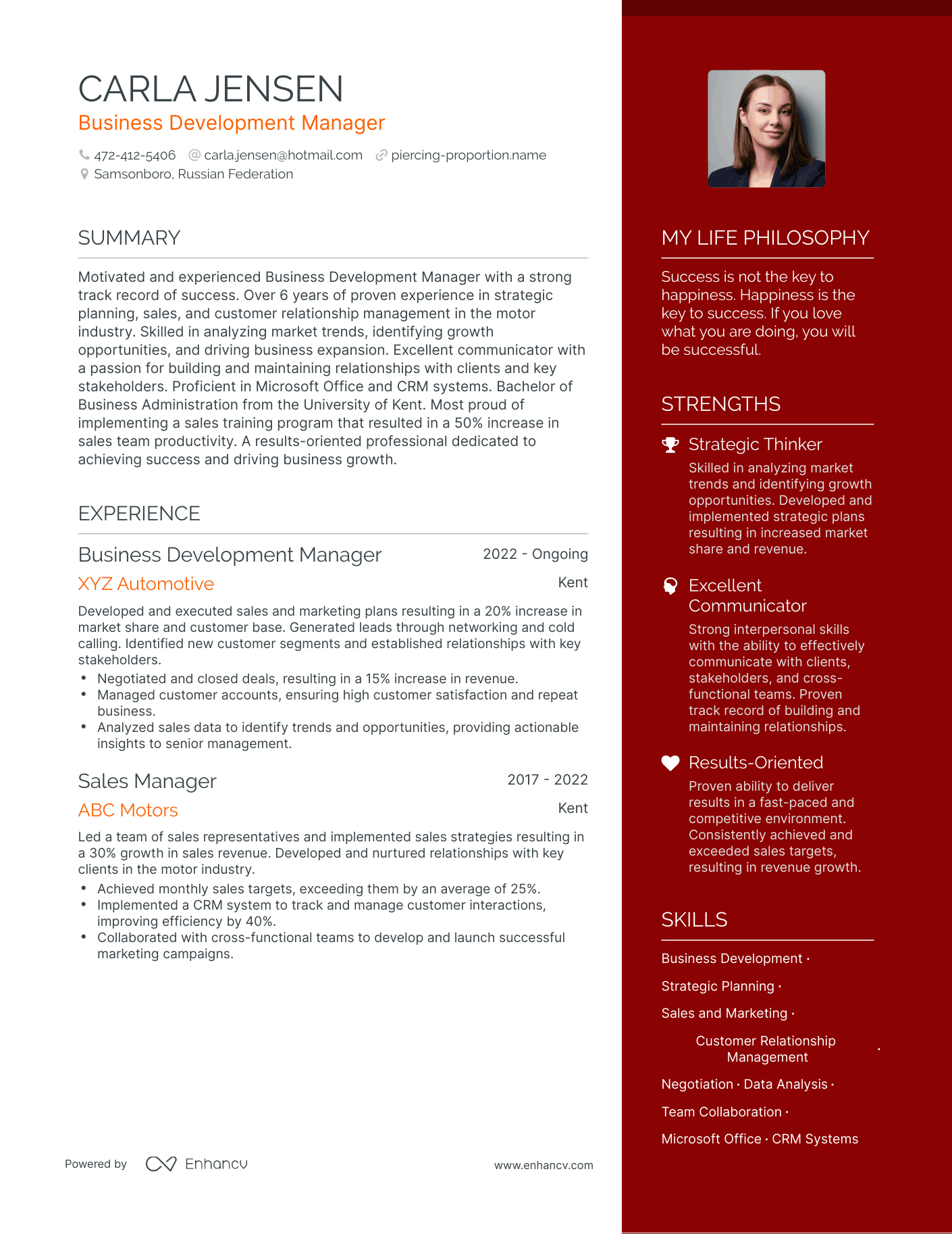 Business Development Manager resume example