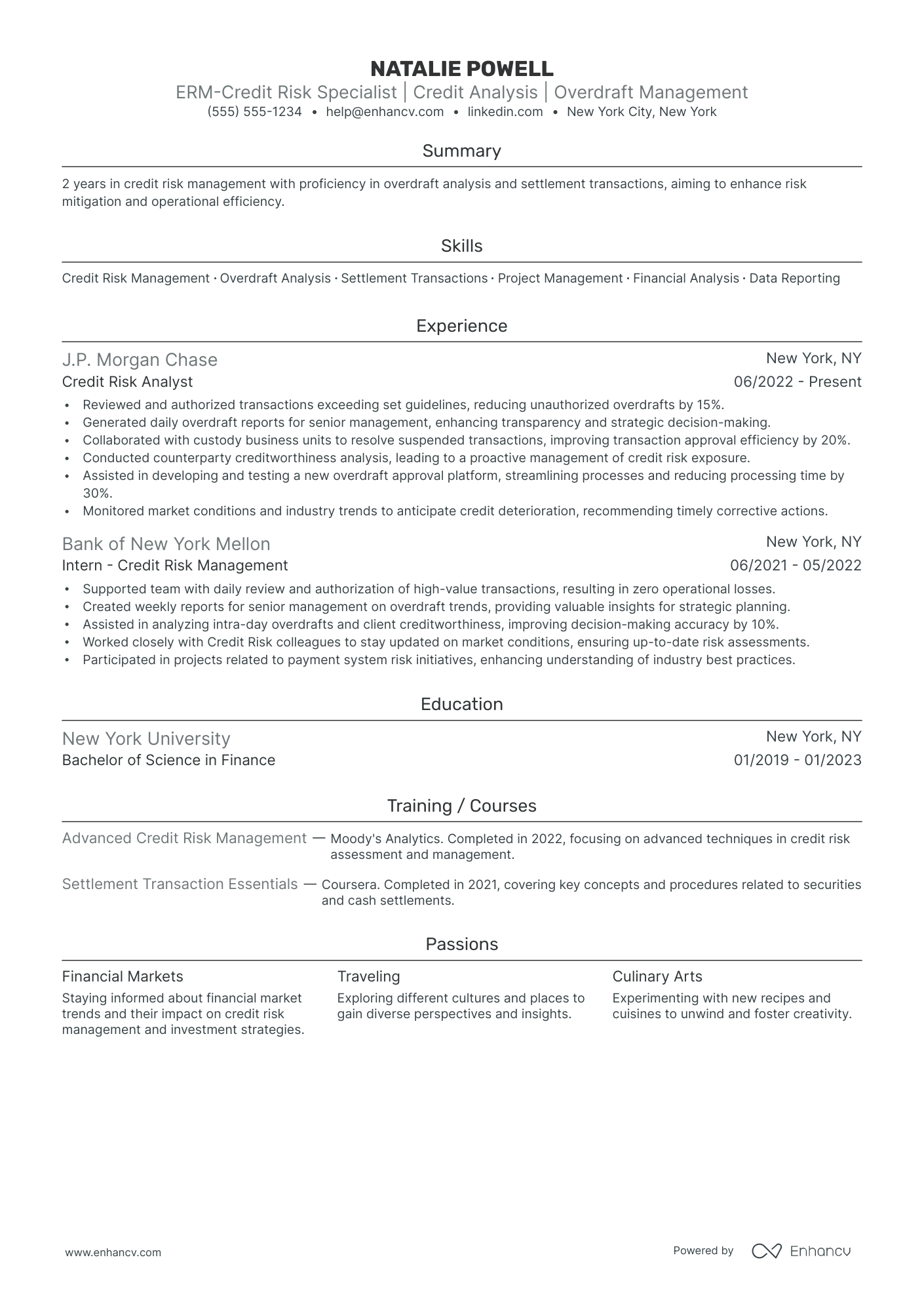 Risk Analyst resume example