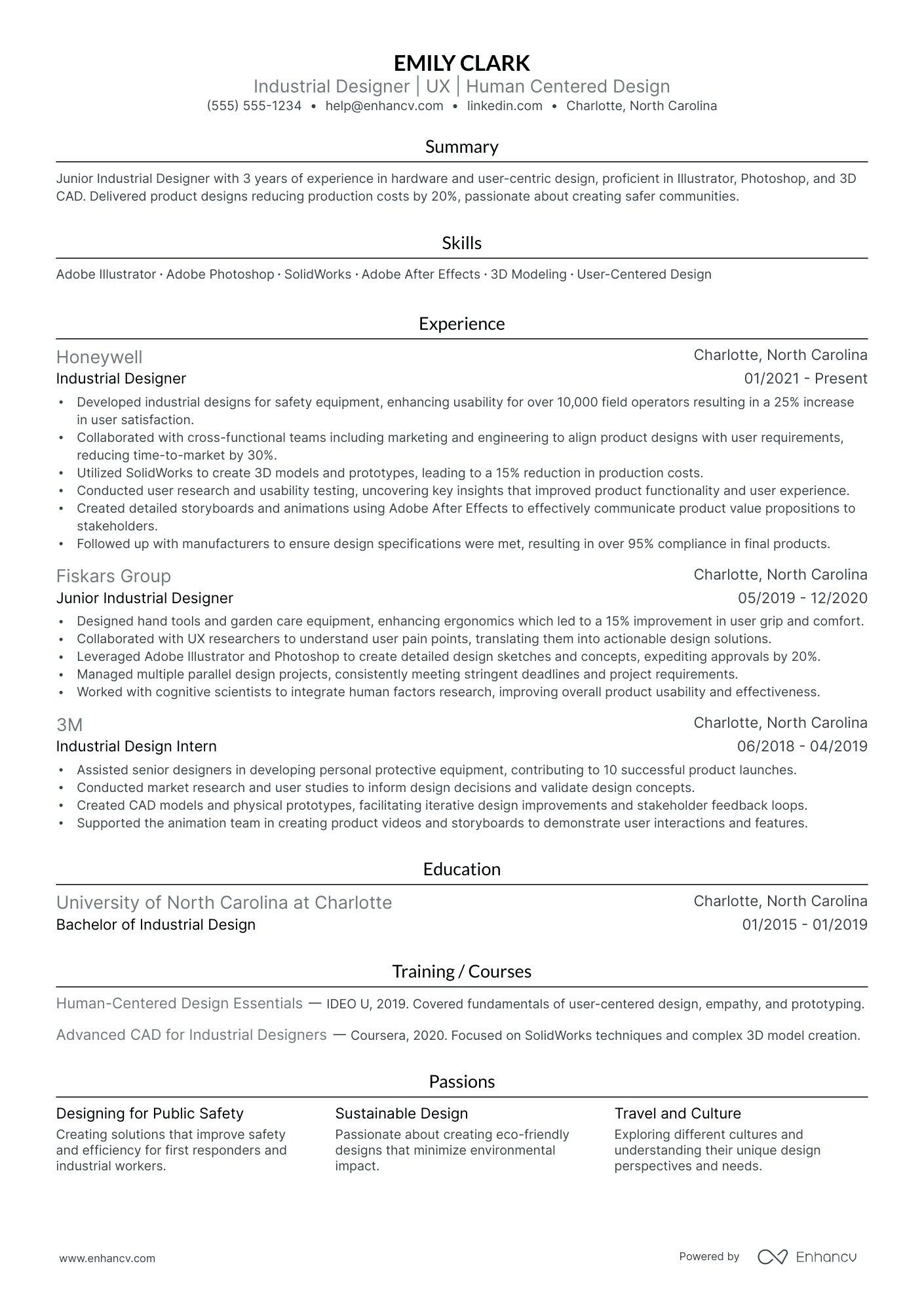 Lead Illustrator resume example