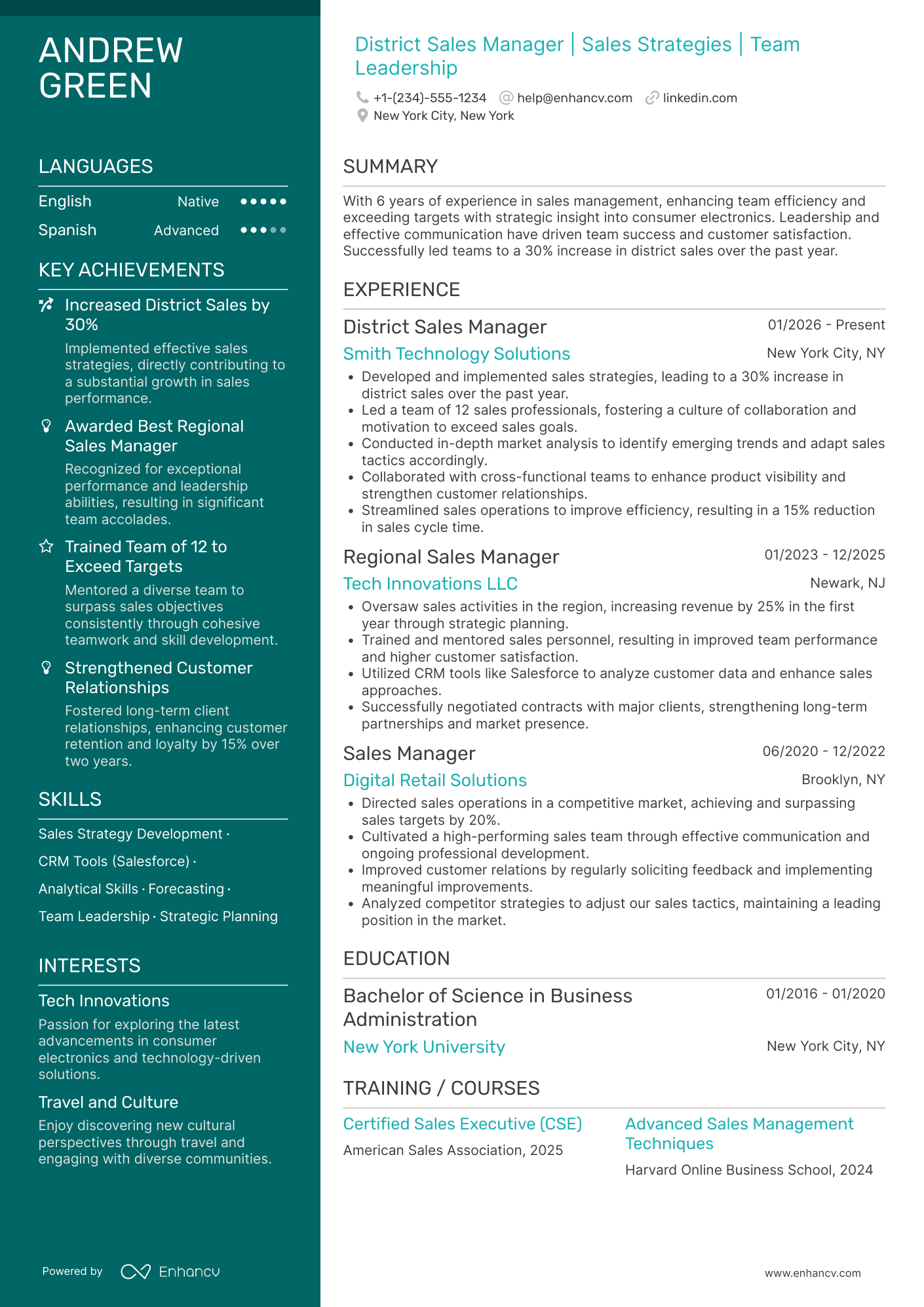 District Sales Manager resume example