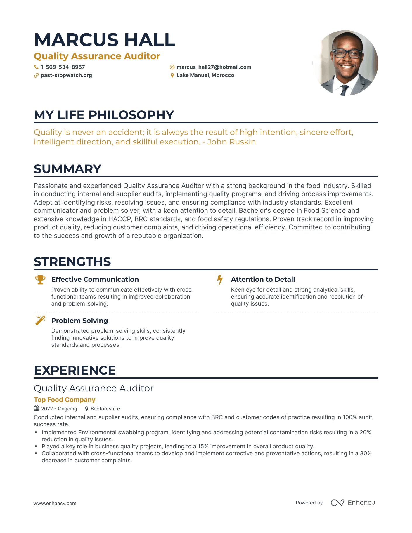 Creative Quality Assurance Auditor Resume Example
