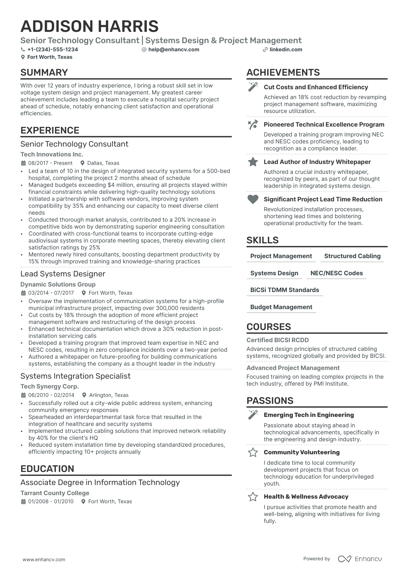 Technology Consultant resume example