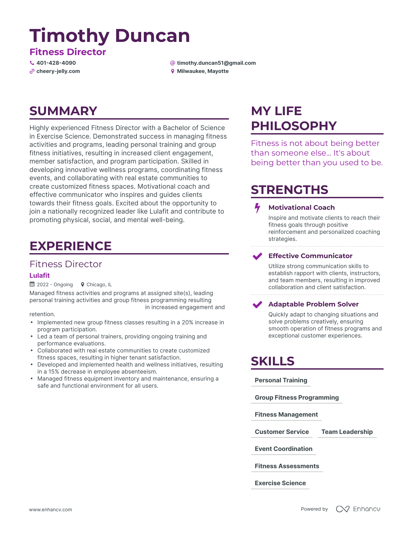 Modern Fitness Director Resume Example