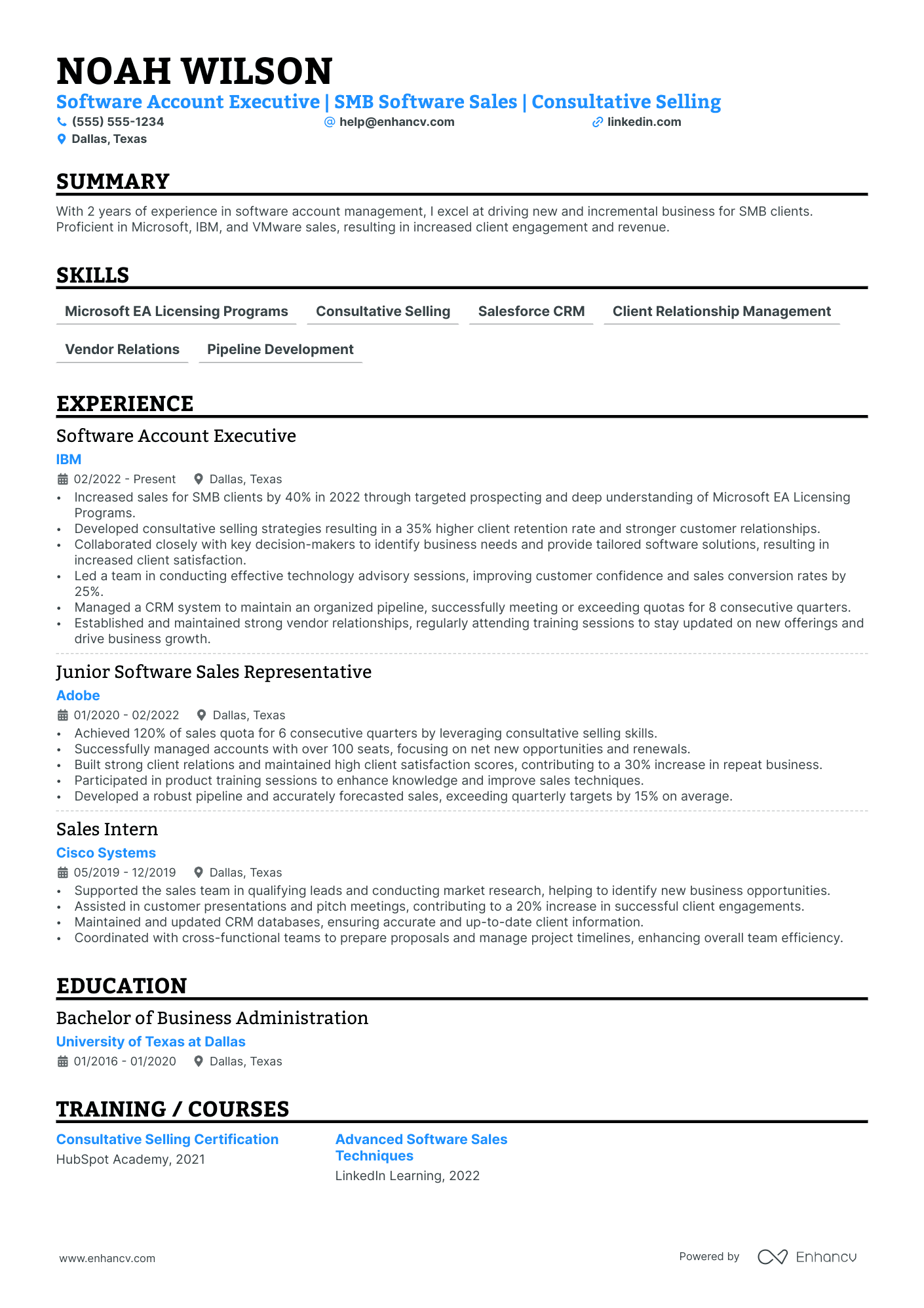 Software Sales Account Executive resume example