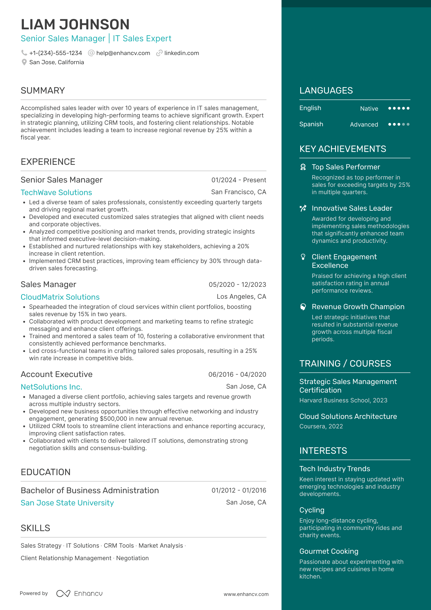 Senior Sales Manager resume example