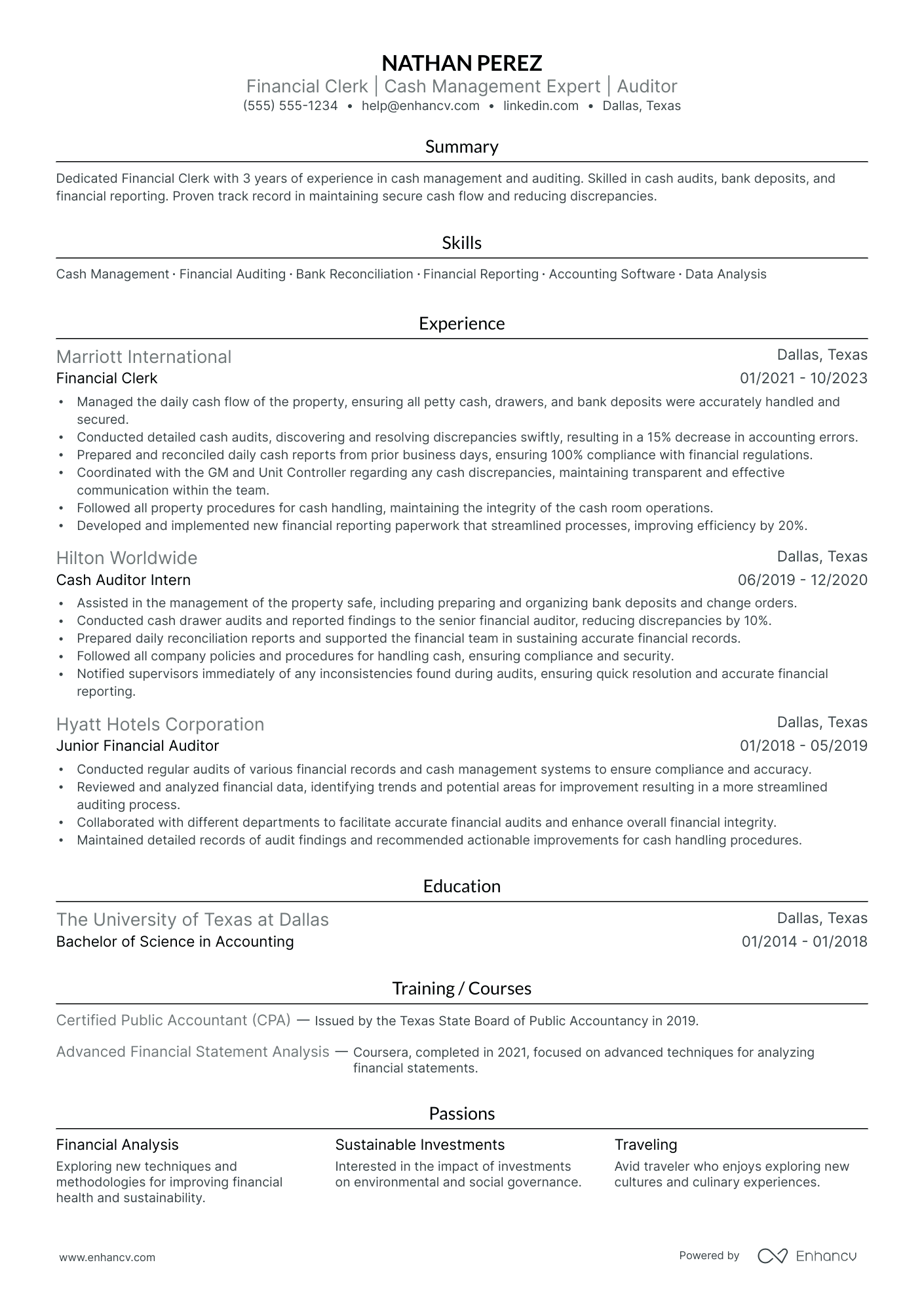 Financial Auditor resume example