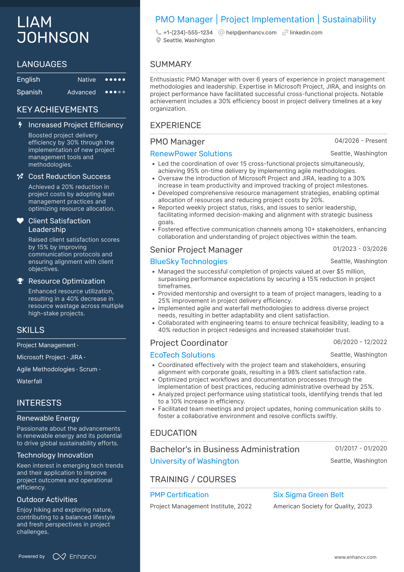 PMO Manager resume example