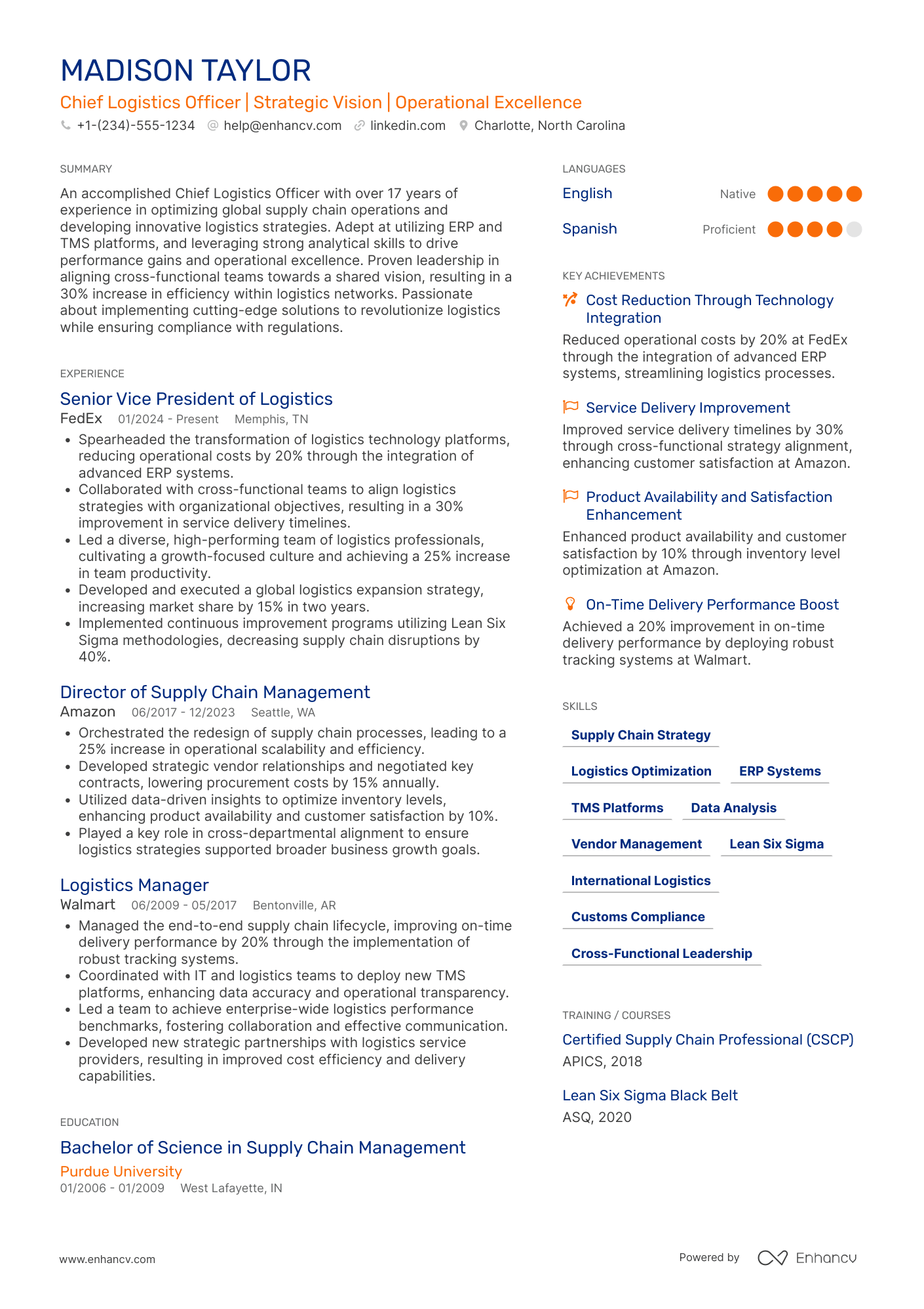 Chief Logistics Officer resume example