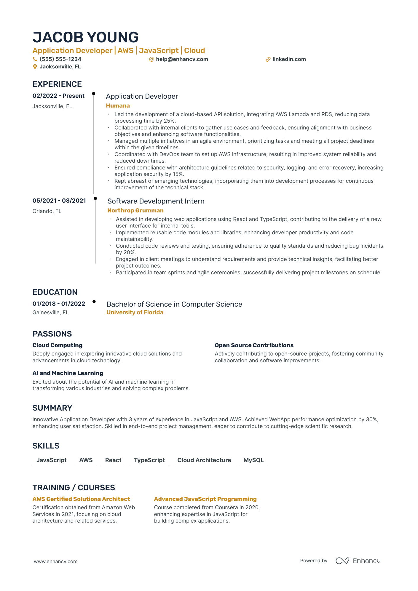 Lead Backend Developer resume example