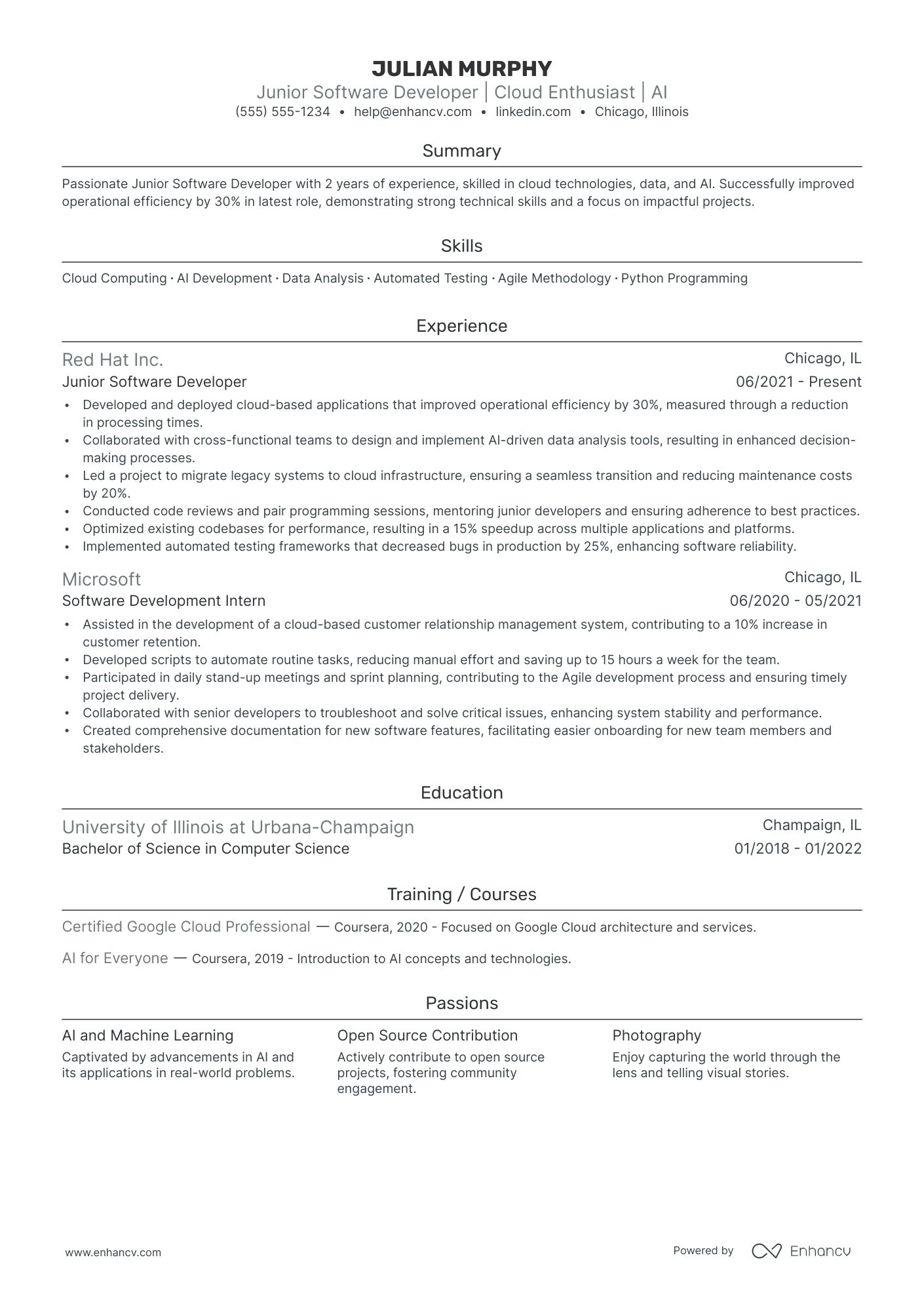 Director of Software Sales resume example