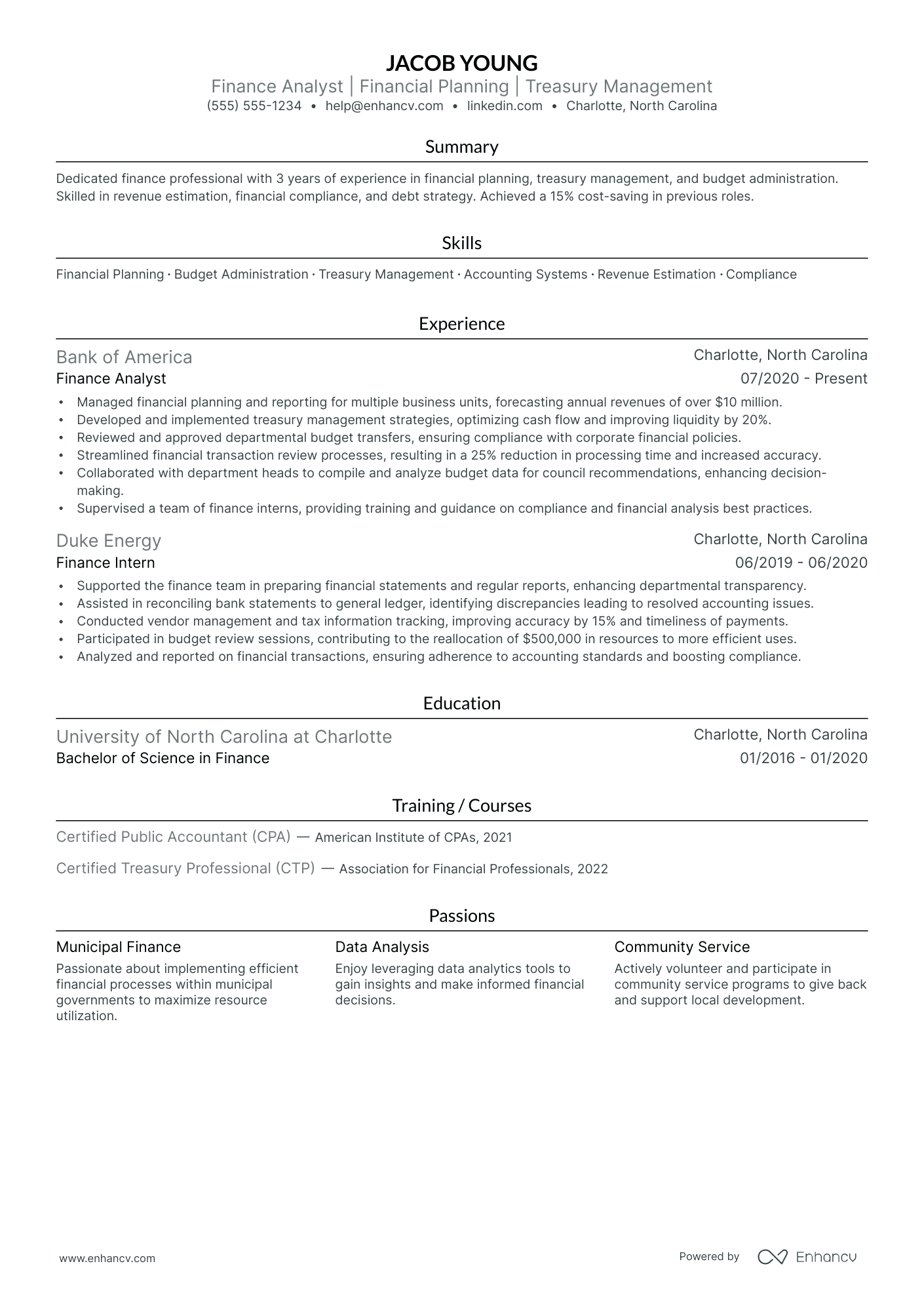 Chief Finance Director resume example