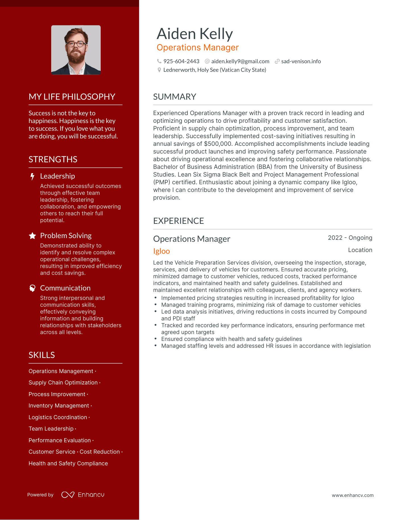 Creative Operations Manager Resume Example