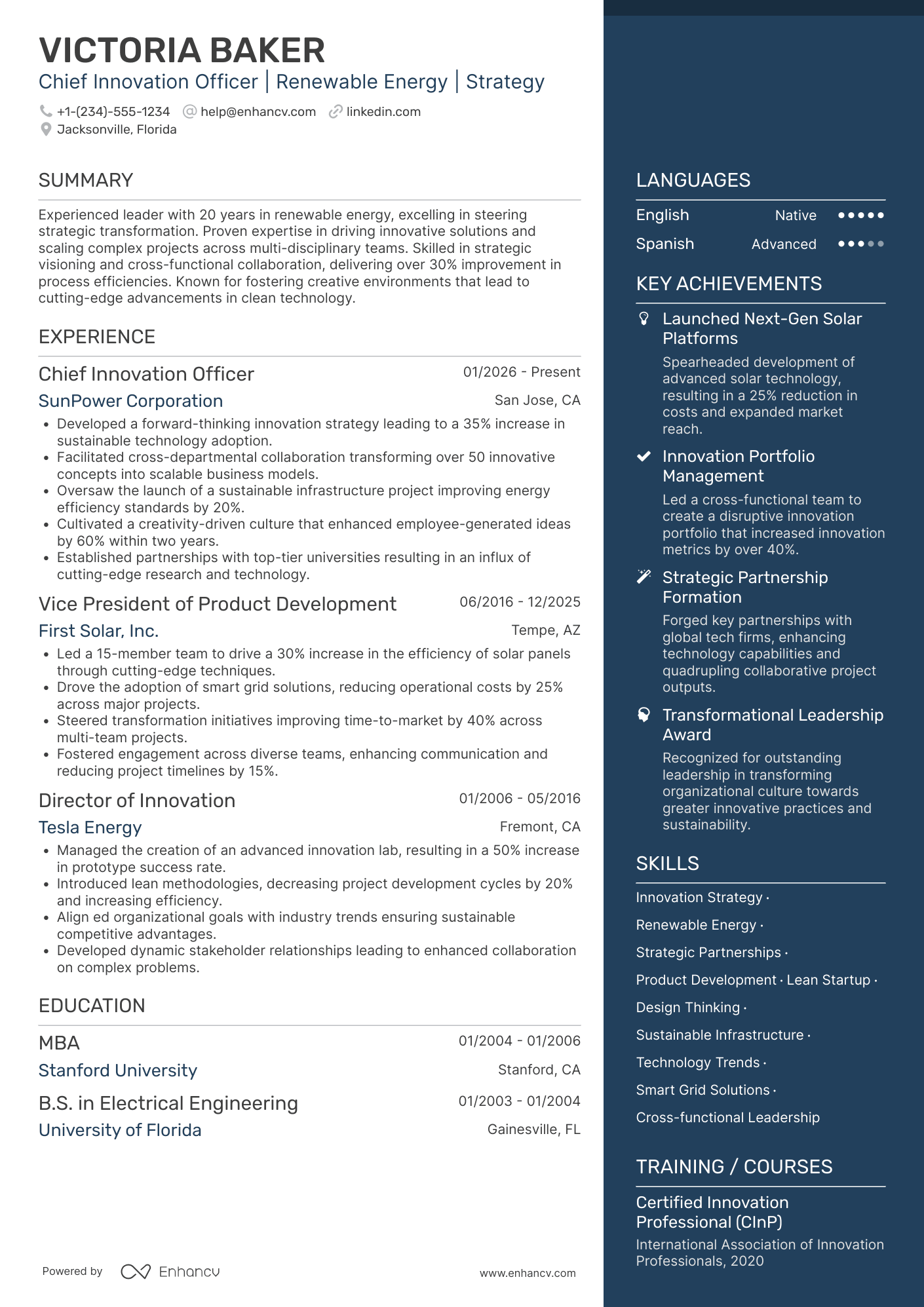 Chief Innovation Officer resume example