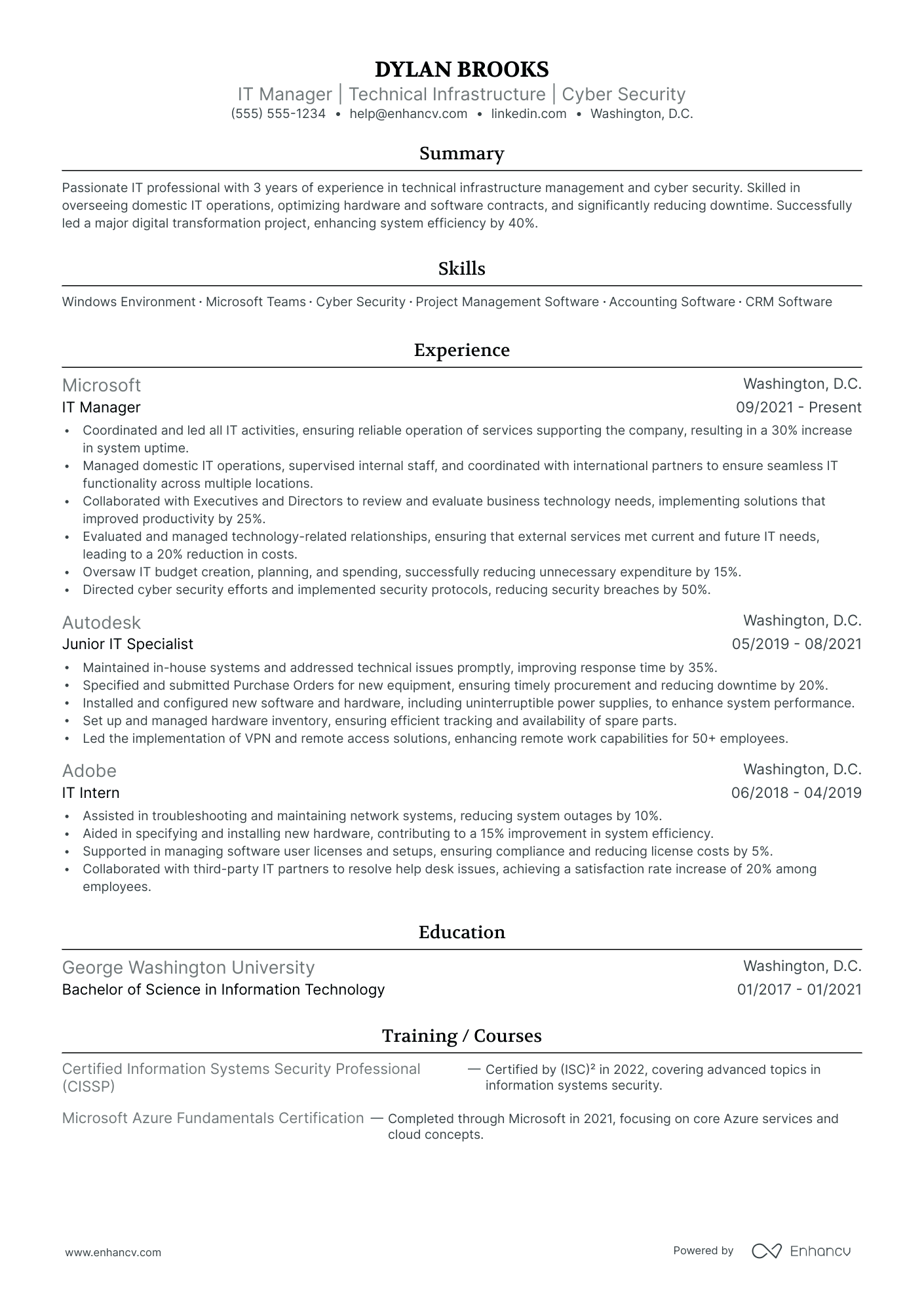 IT Network Manager resume example