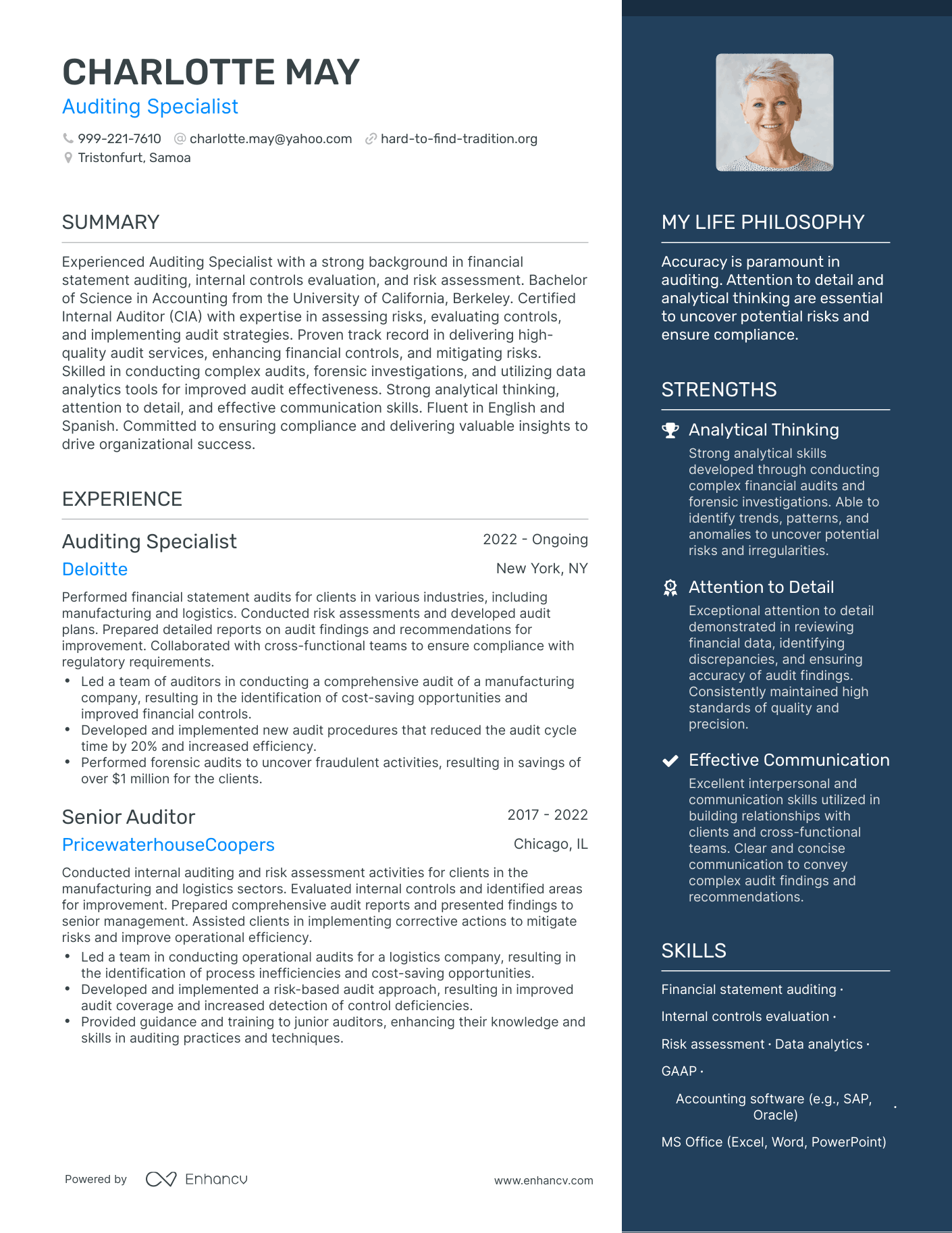 Modern Auditing Specialist Resume Example