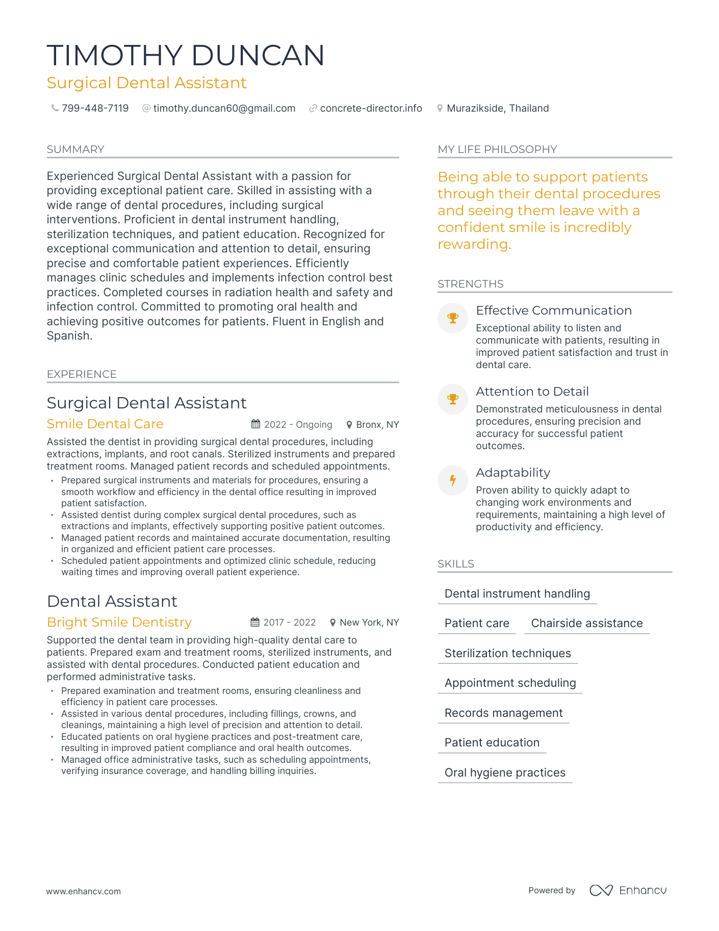 Modern Surgical Dental Assistant Resume Example