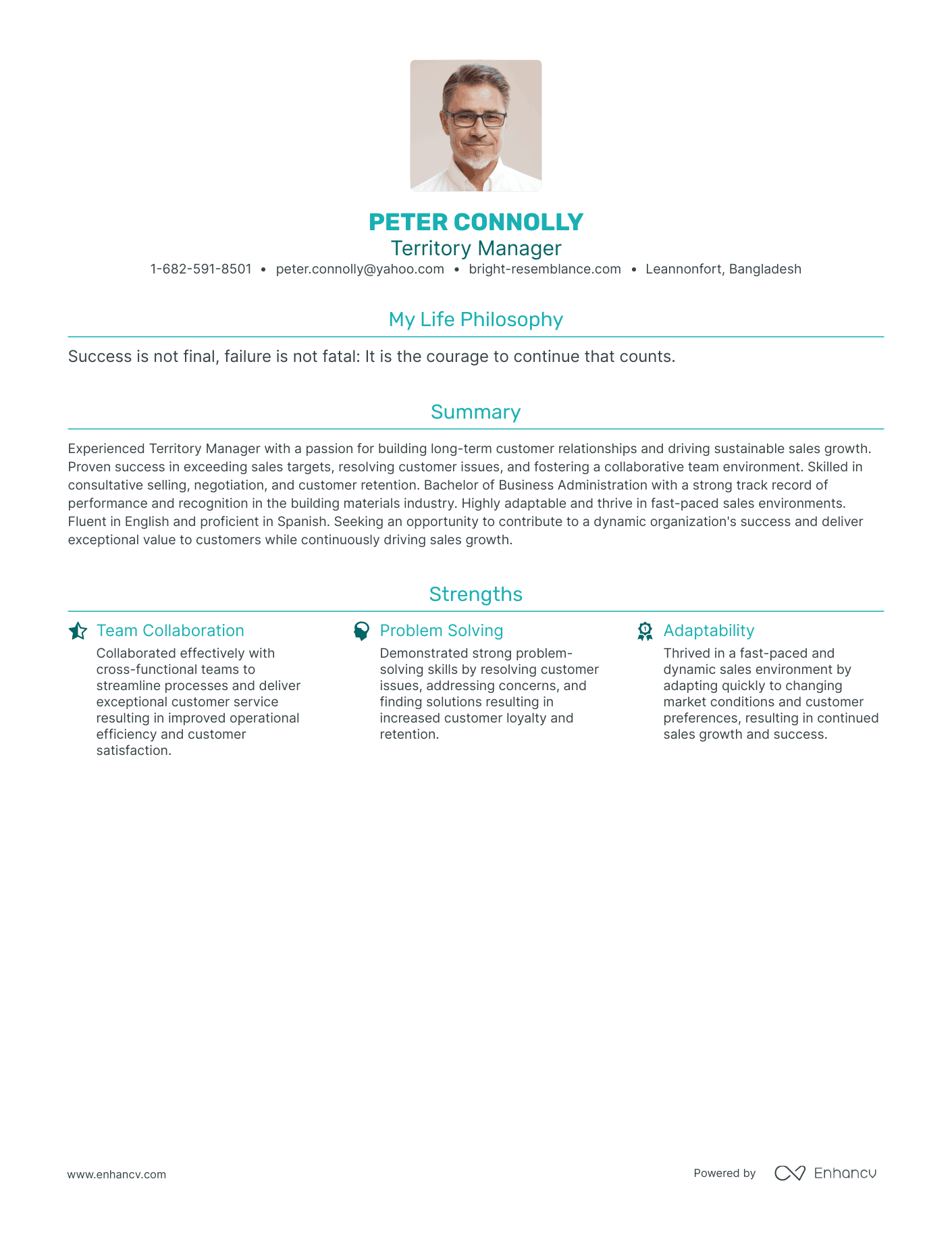 Modern Territory Manager Resume Example