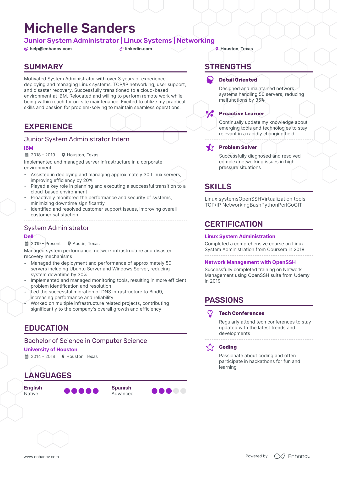 Junior System Administrator resume example
