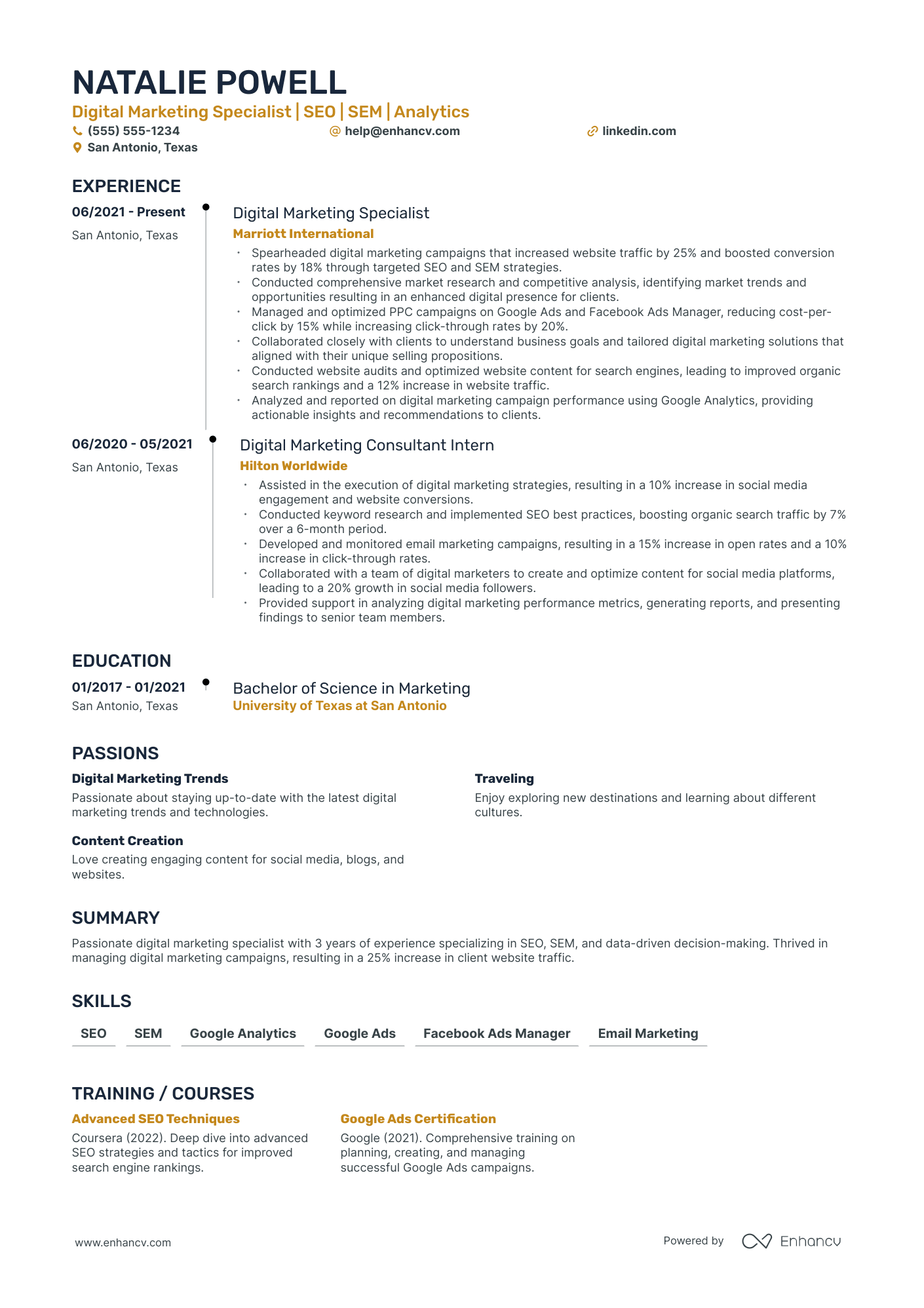 SEO Consultant resume example