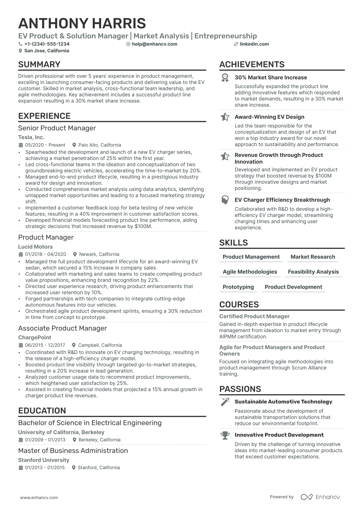 Solution Manager resume example
