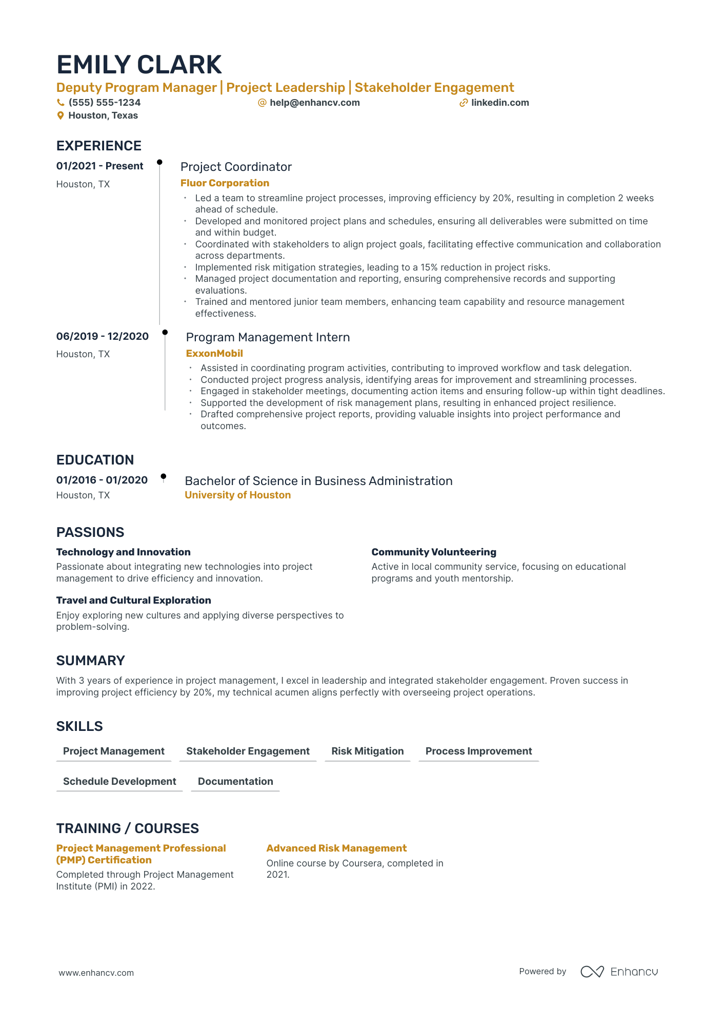 Deputy Program Manager resume example