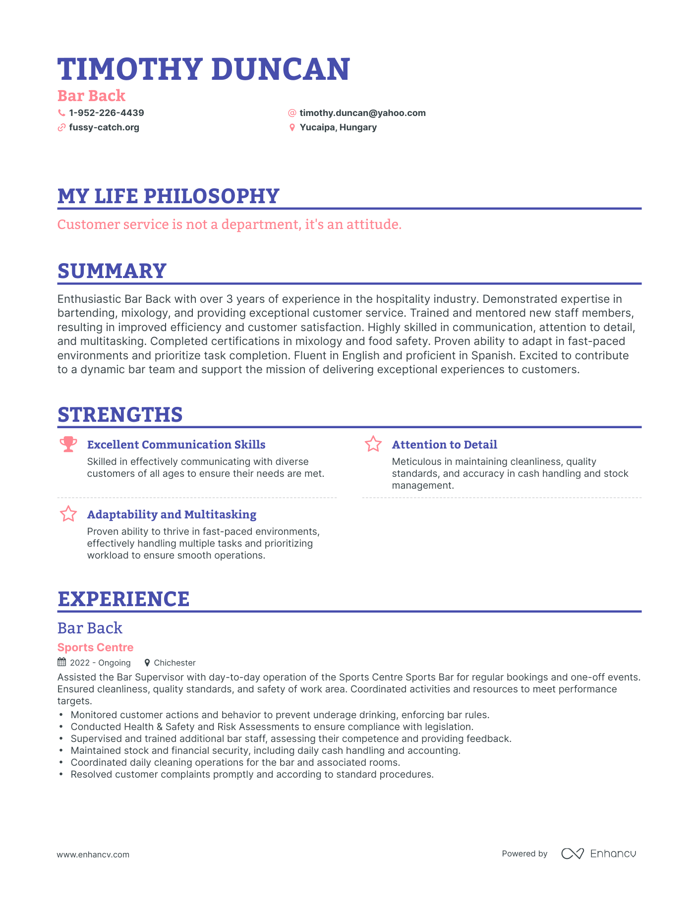 Creative Bar Back Resume Example
