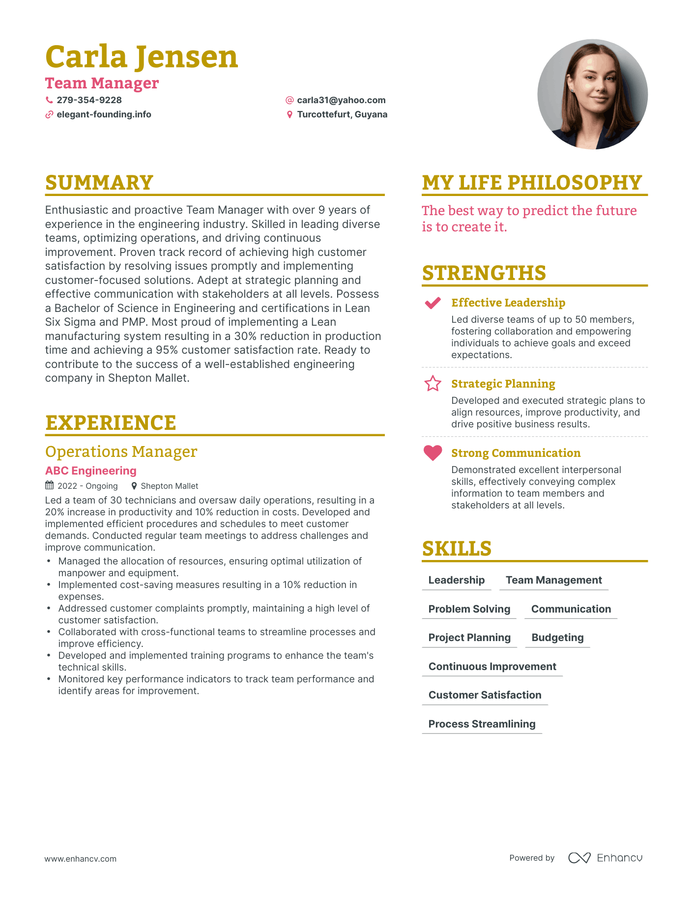 Team Manager resume example