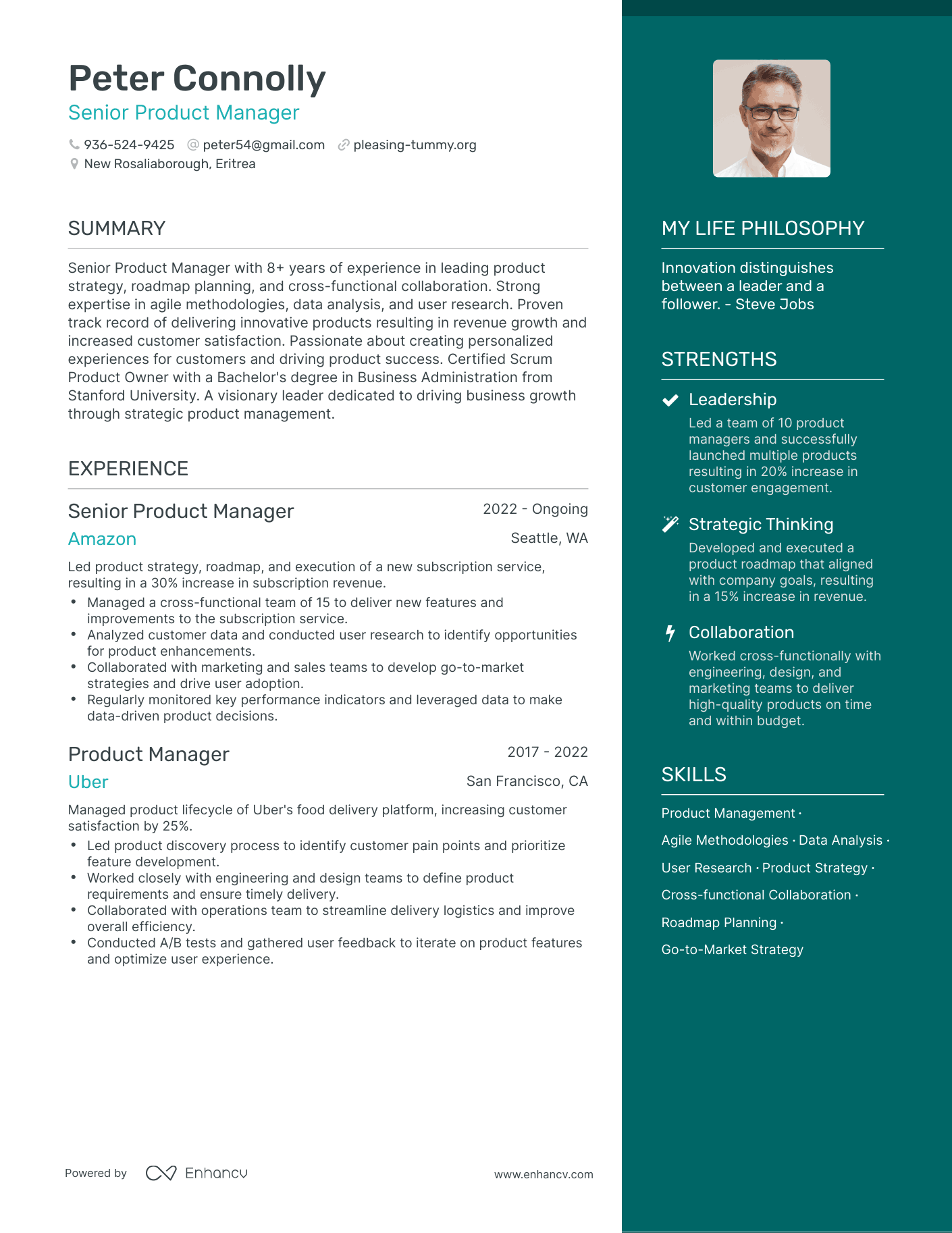 senior product manager resume examples