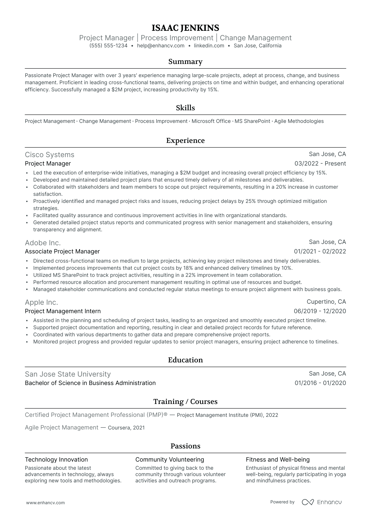 Office Project Manager resume example