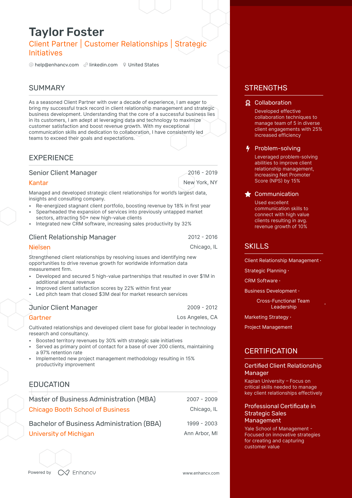 client partner resume example