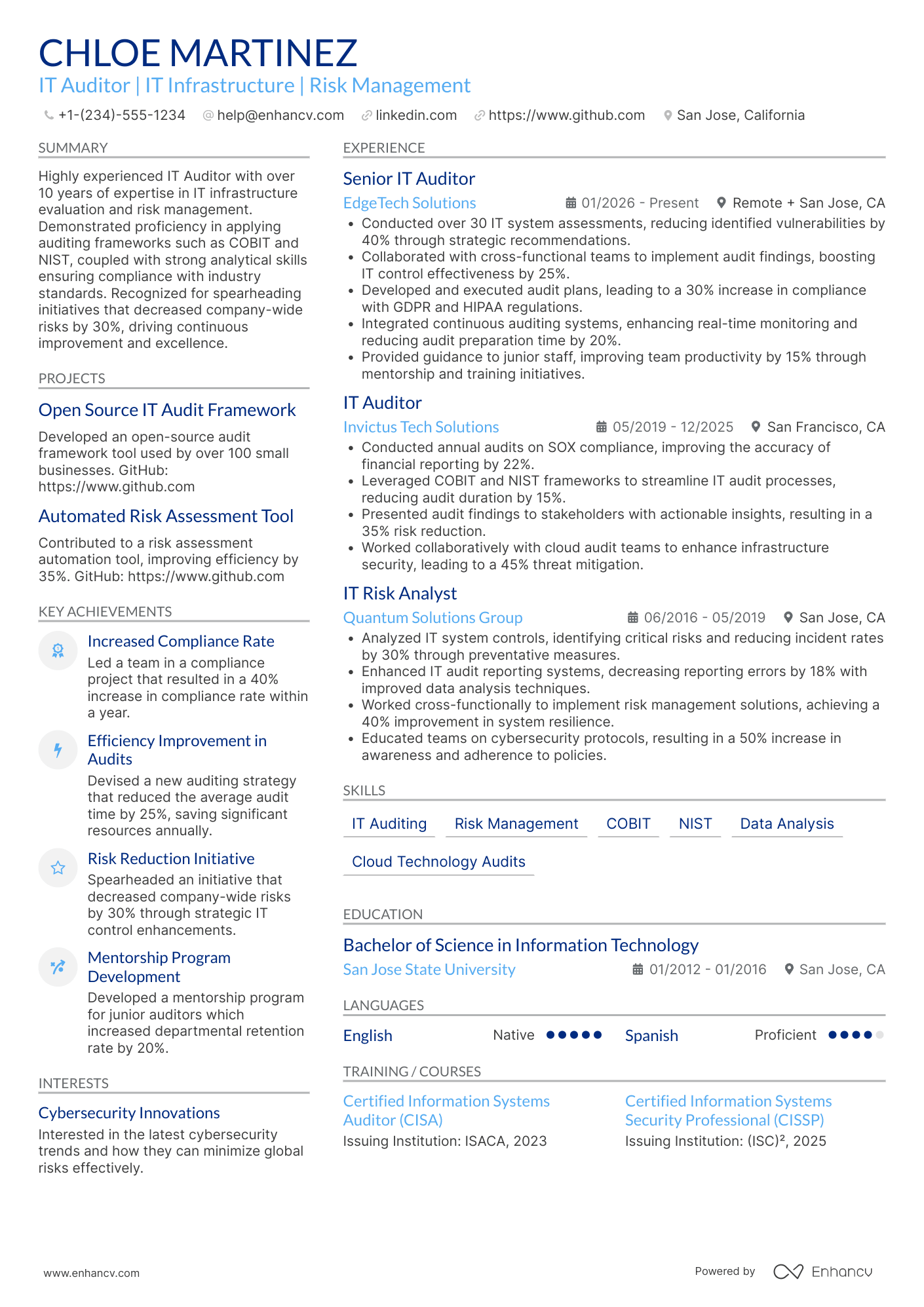 IT Auditor resume example