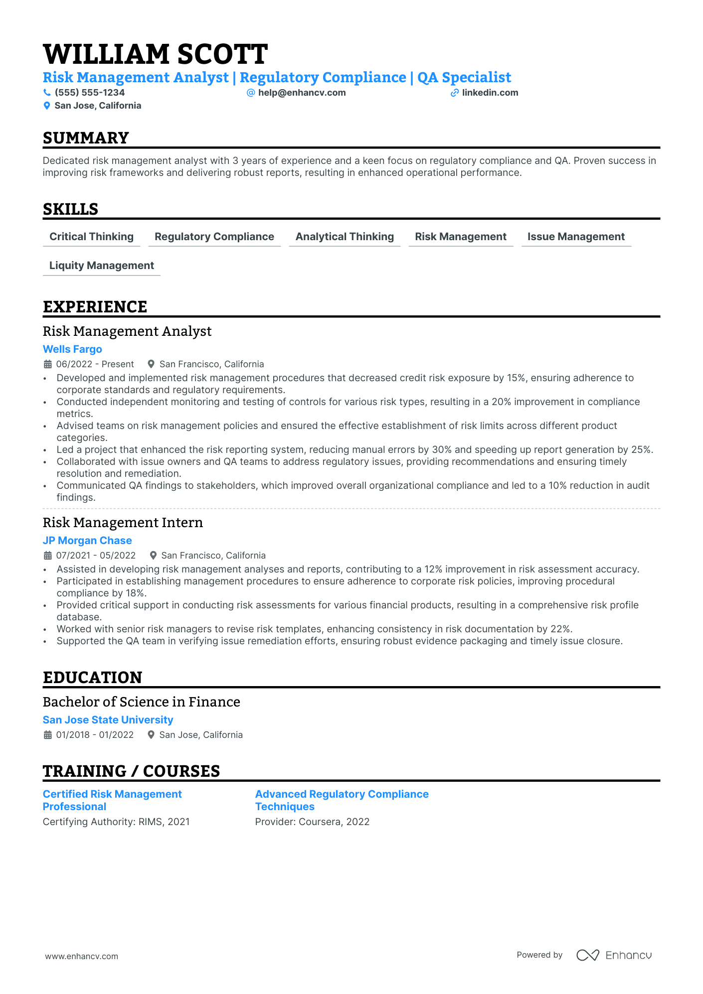 Risk Management Executive resume example