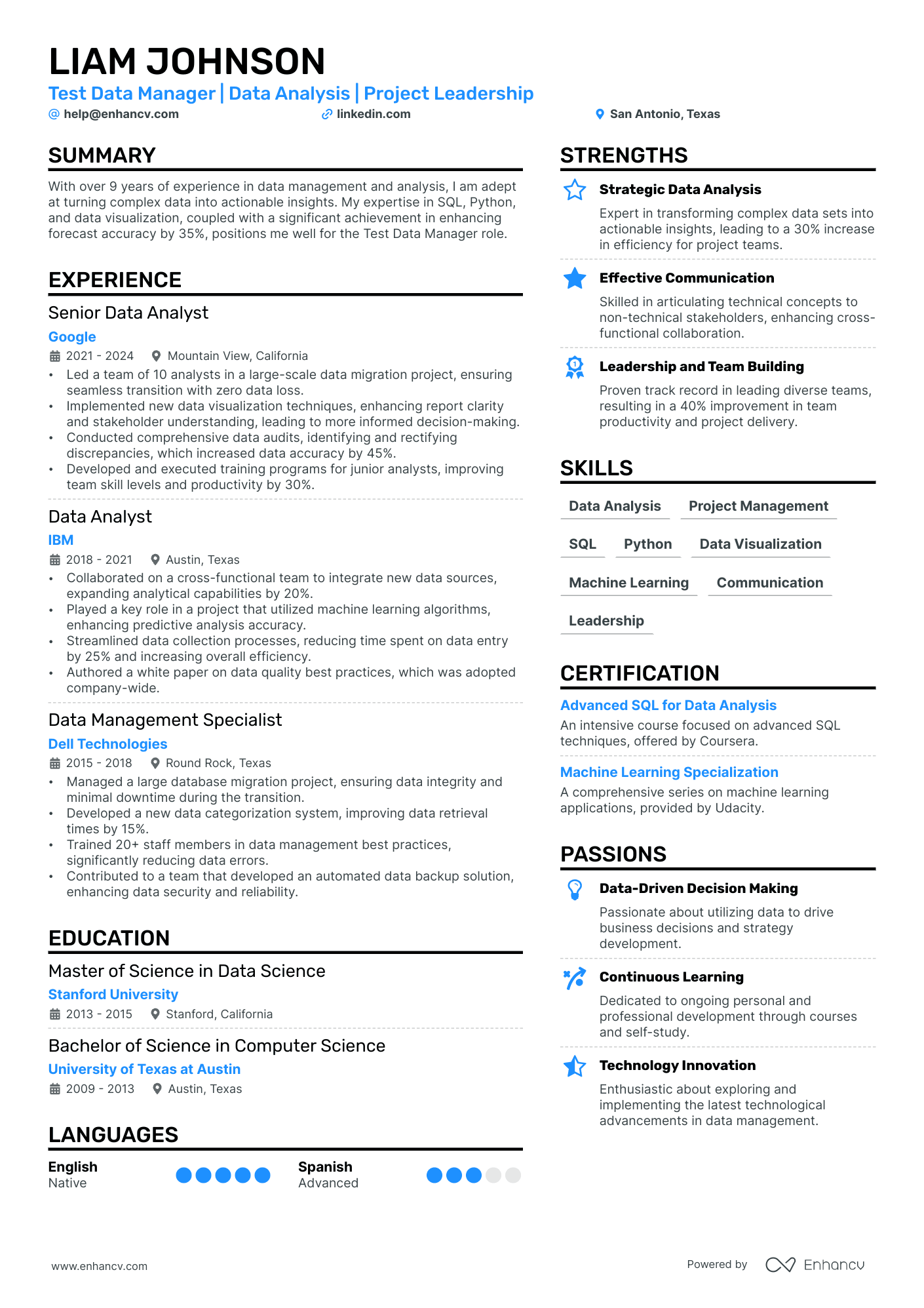 Data Manager resume example