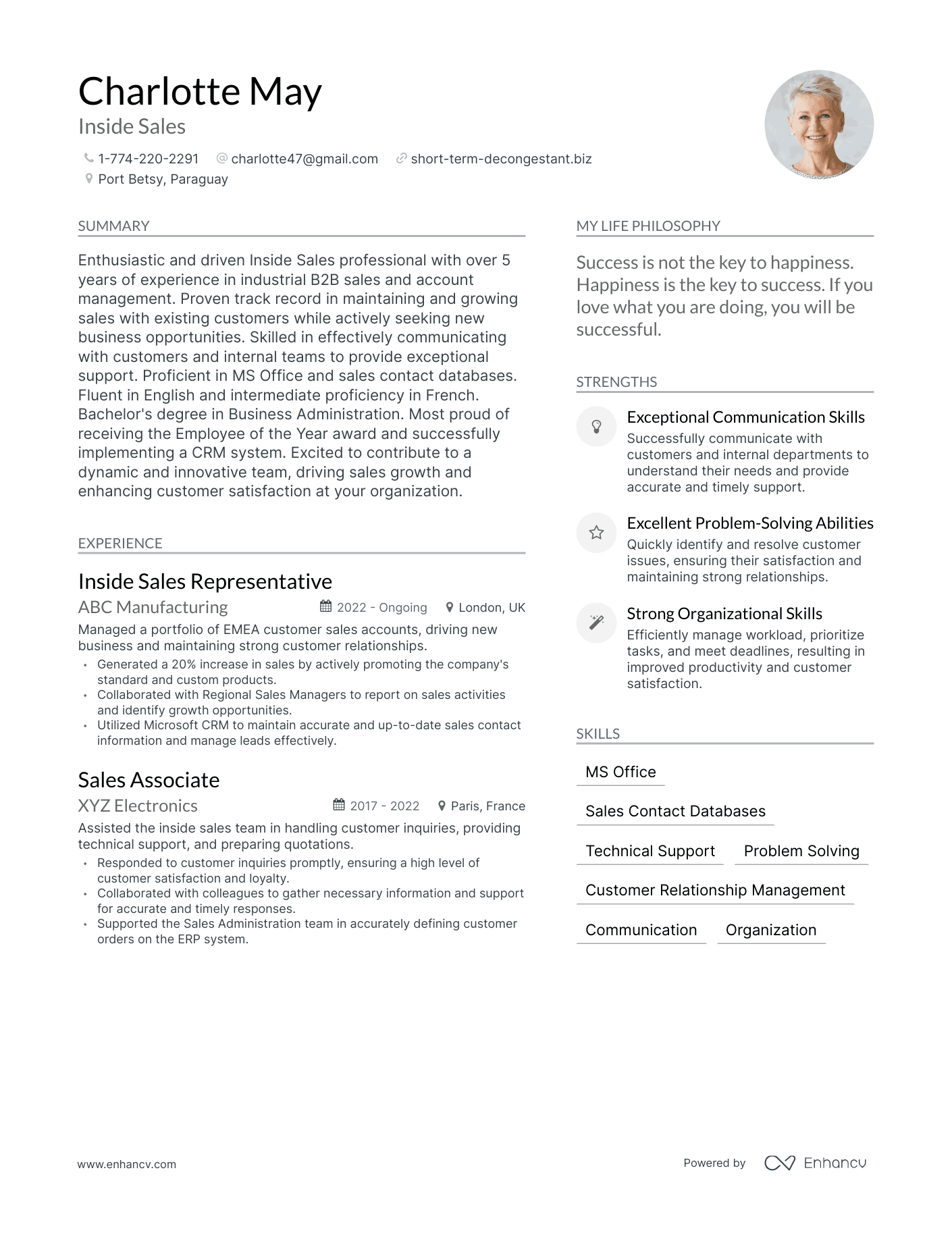 Inside Sales resume example