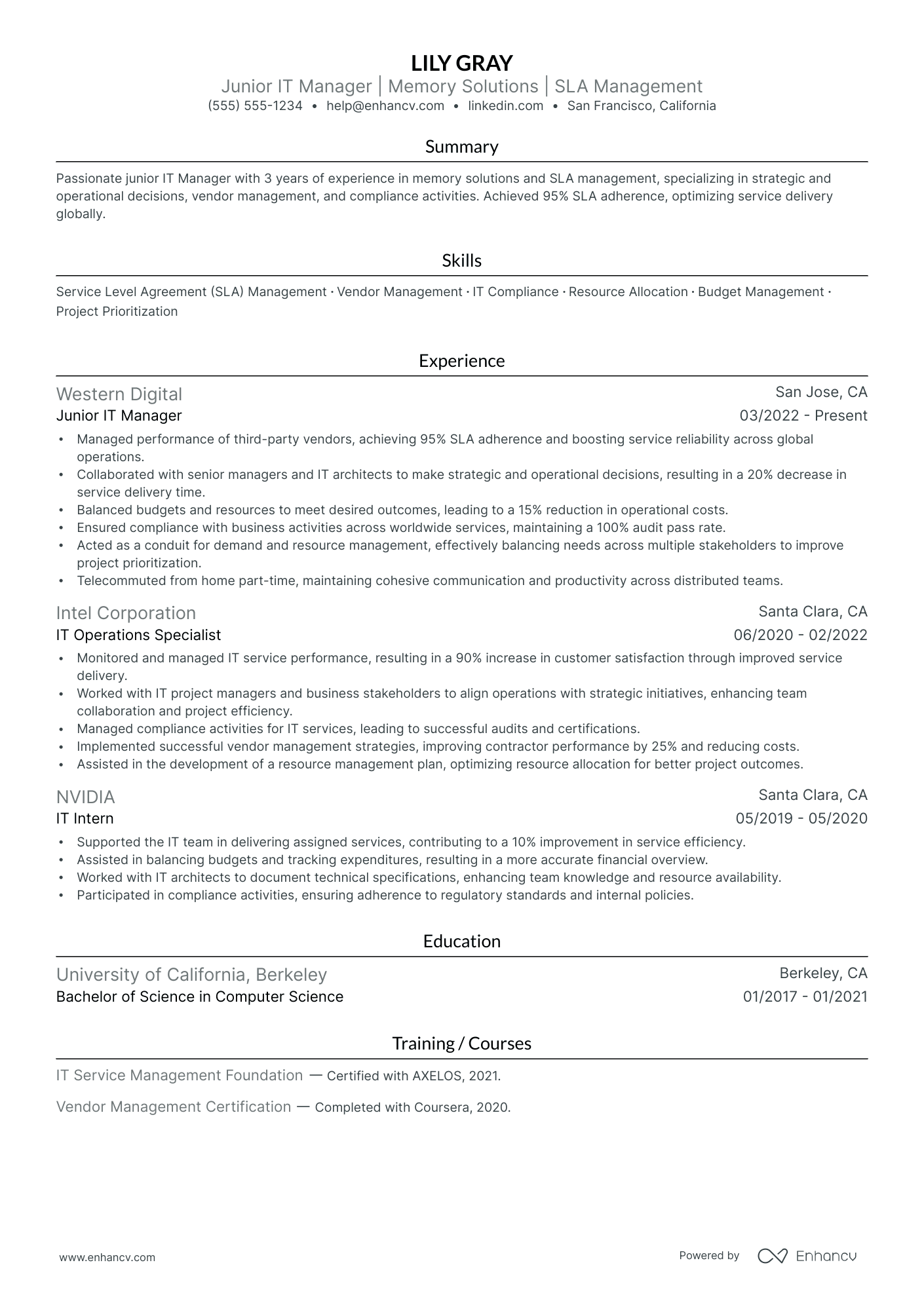 IT Operations Manager resume example