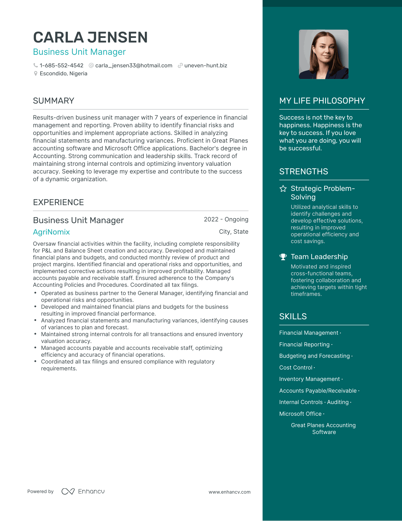 Business Unit Manager resume example