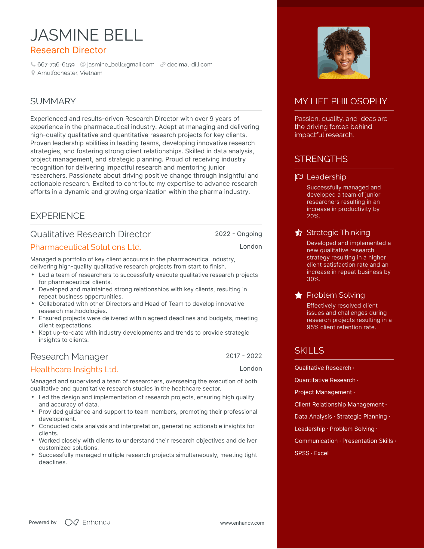 Modern Research Director Resume Example