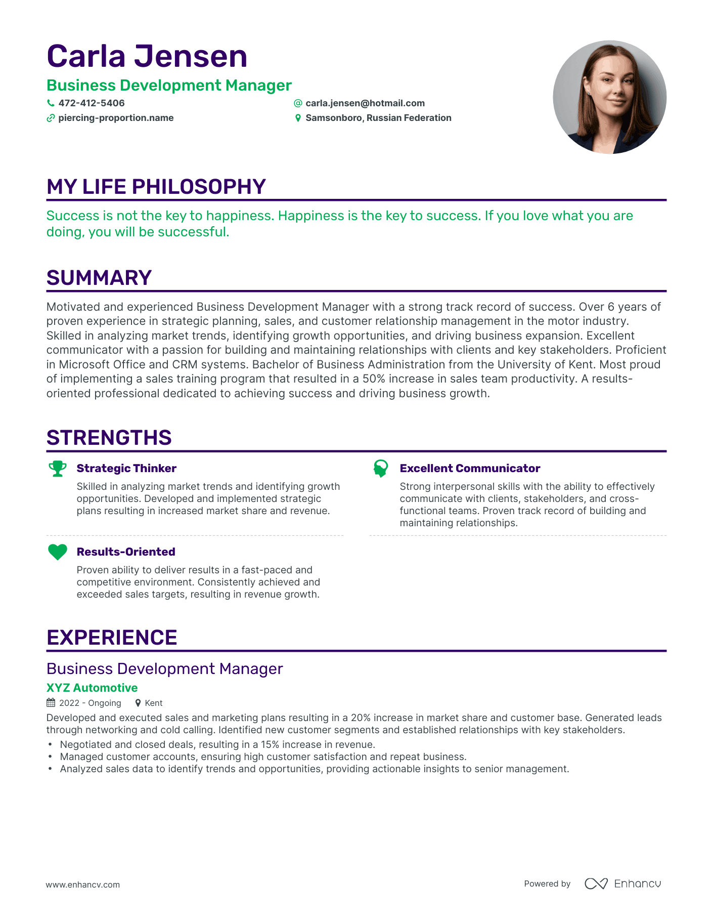 Creative Business Development Manager Resume Example