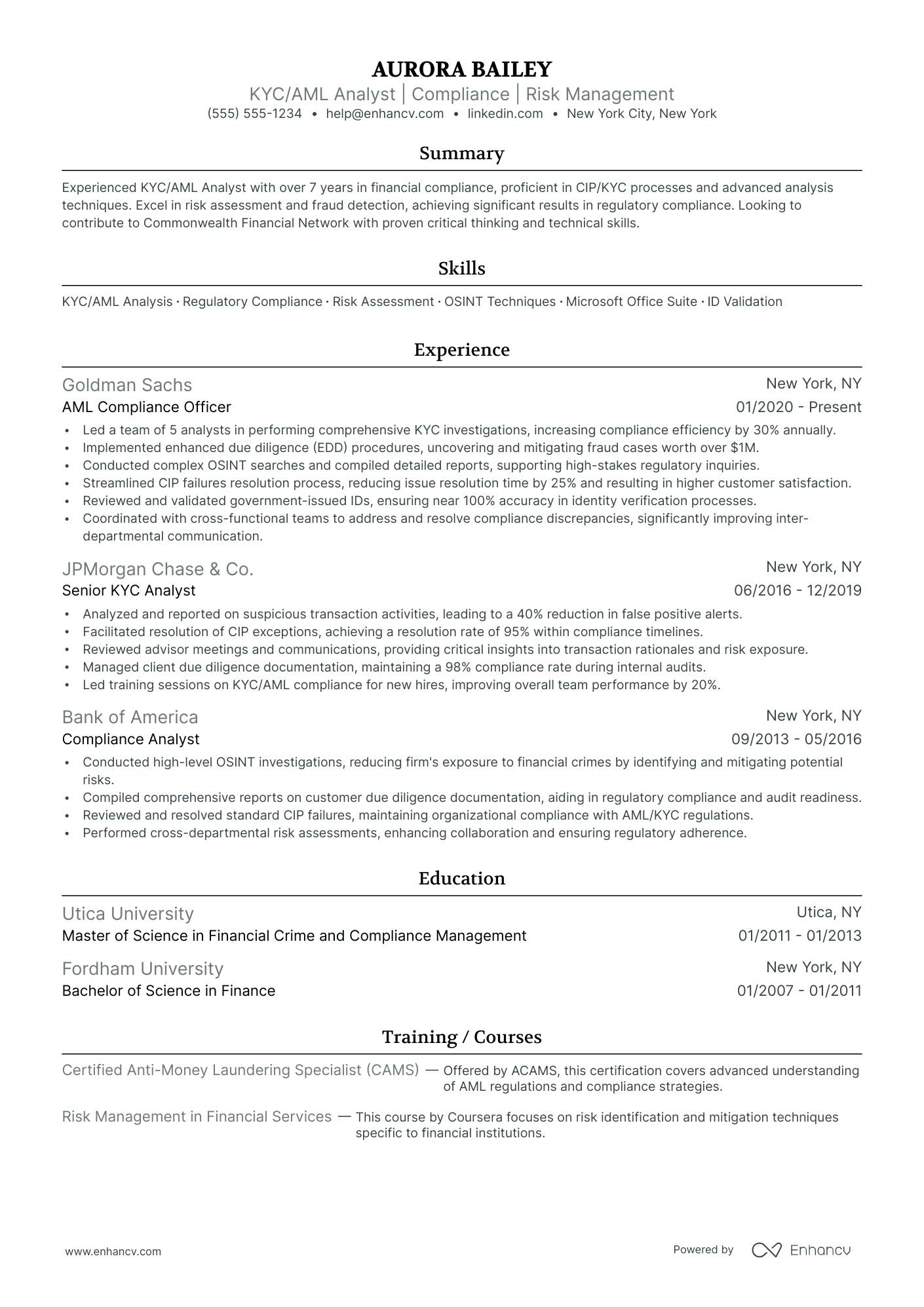 Junior KYC Analyst Resume Example Resume Example