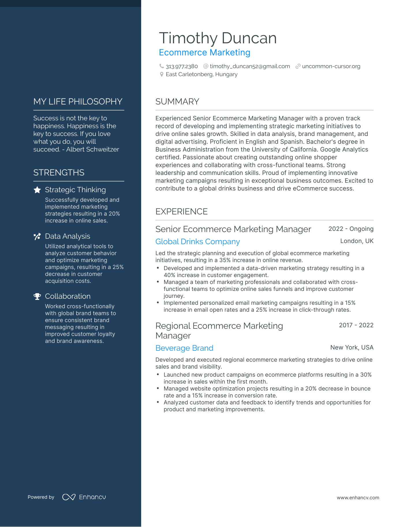 Ecommerce Marketing resume example
