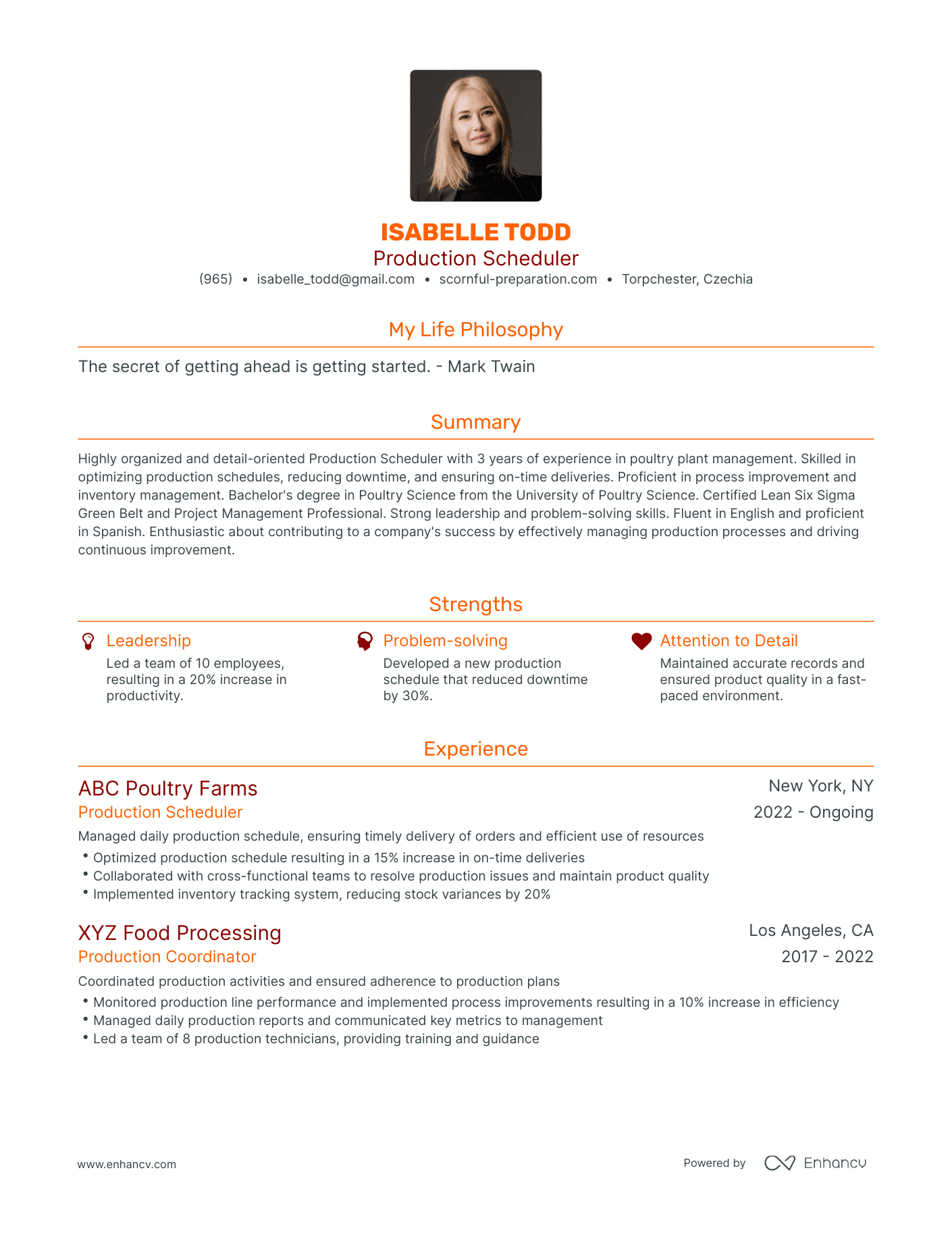 Modern Production Scheduler Resume Example